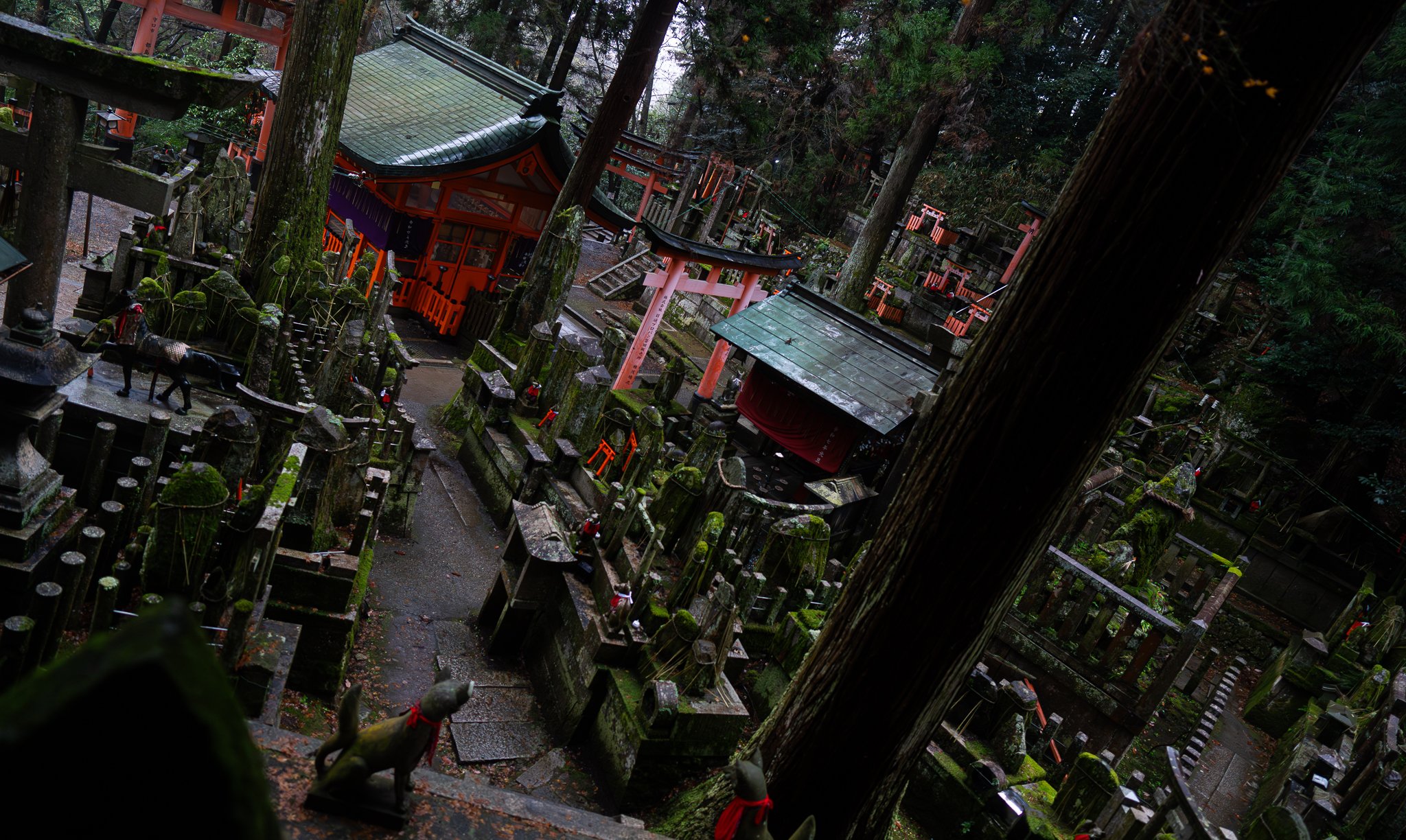 Senbom Torii gates - ceremonial burial area.jpg