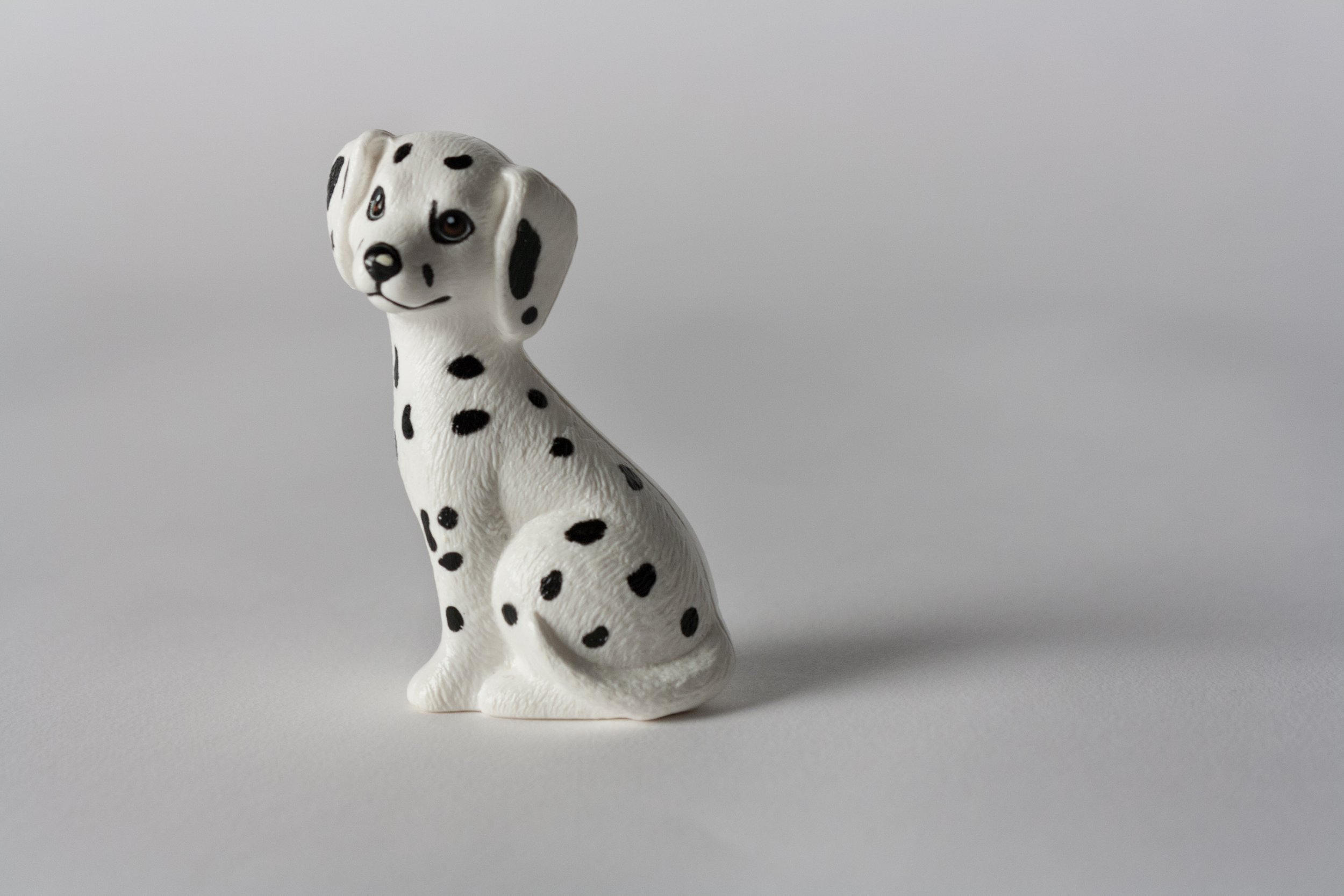 Dog, 2013