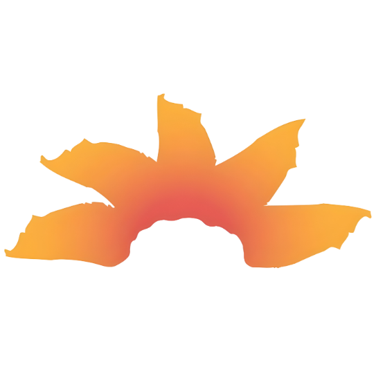 A stylized, colorful graphic of a blooming flower with orange and yellow petals.
