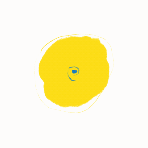 Untitled_Artwork 8.gif