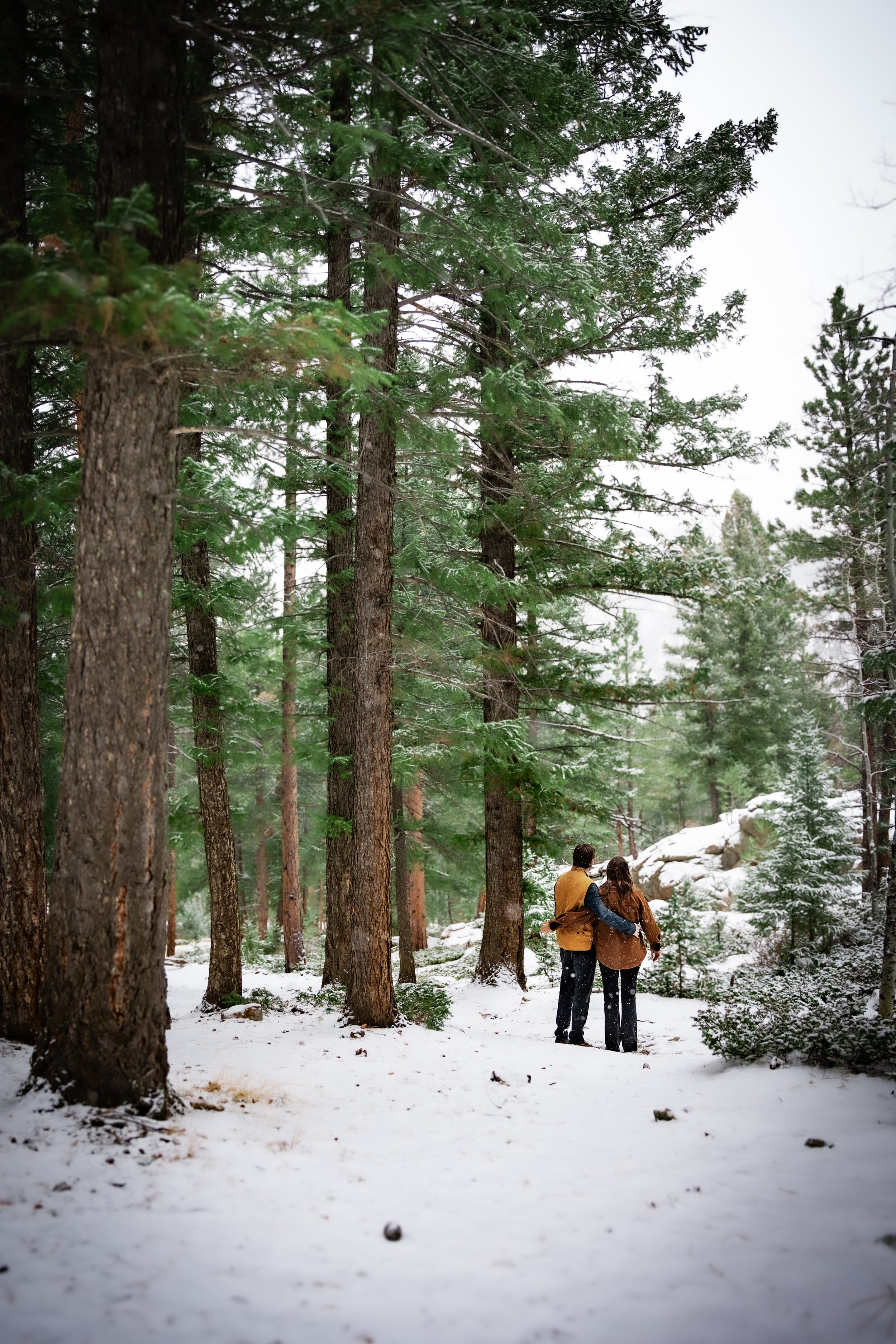 Copy of Blaire and Teddy Engagements -16.jpg
