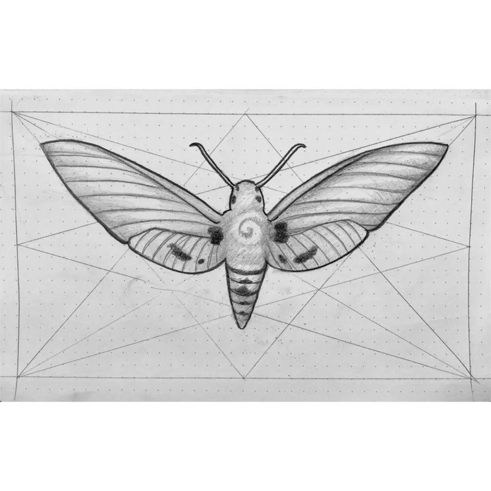 Moth No.1