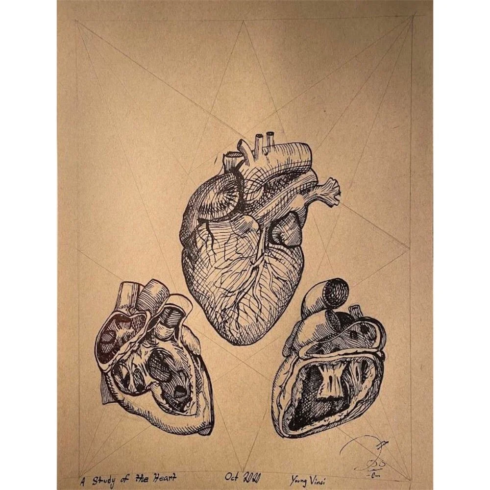 The Heart Blueprint