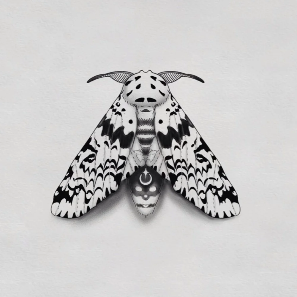 Moth