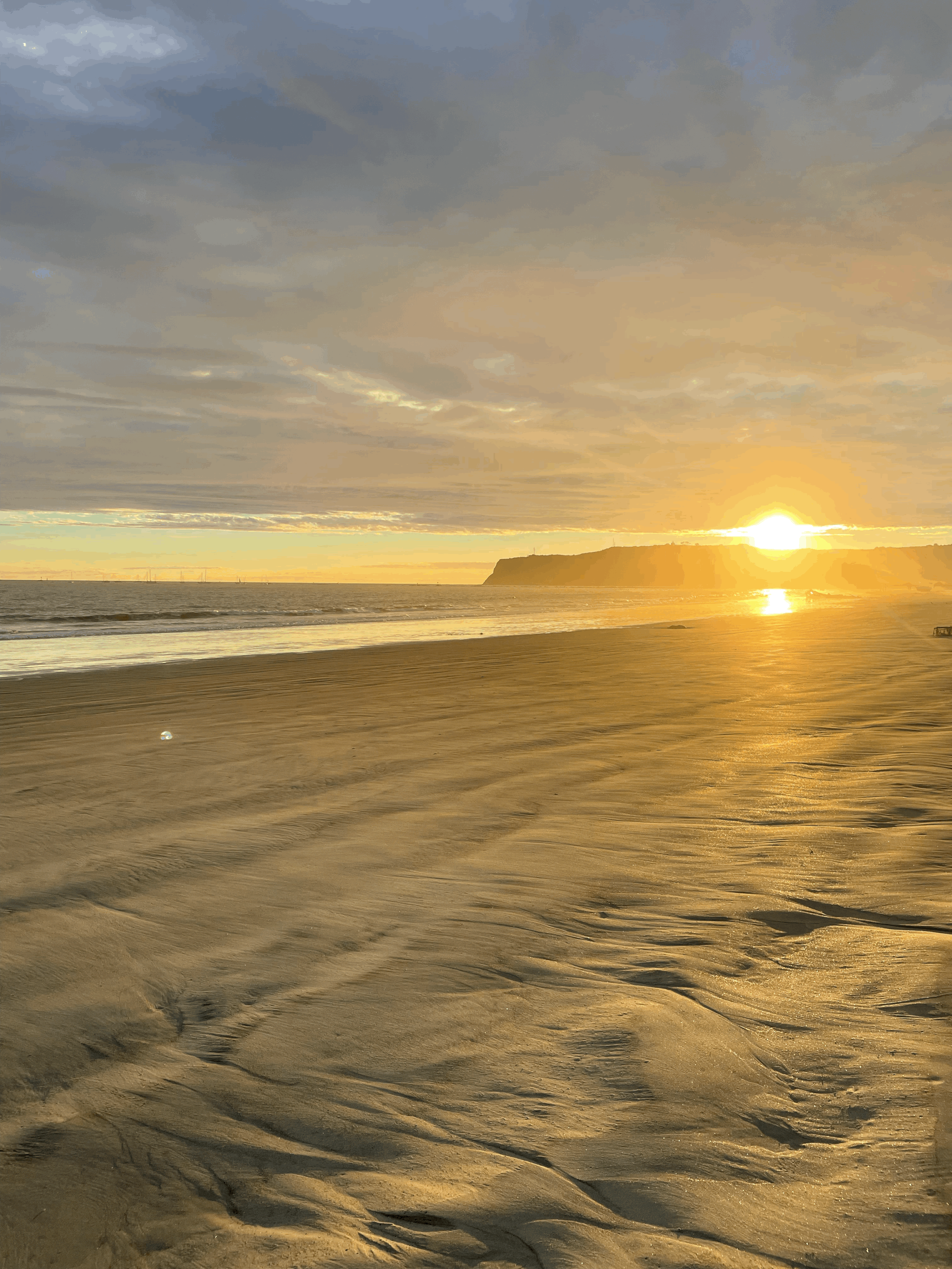 Lifelines and New Beginnings