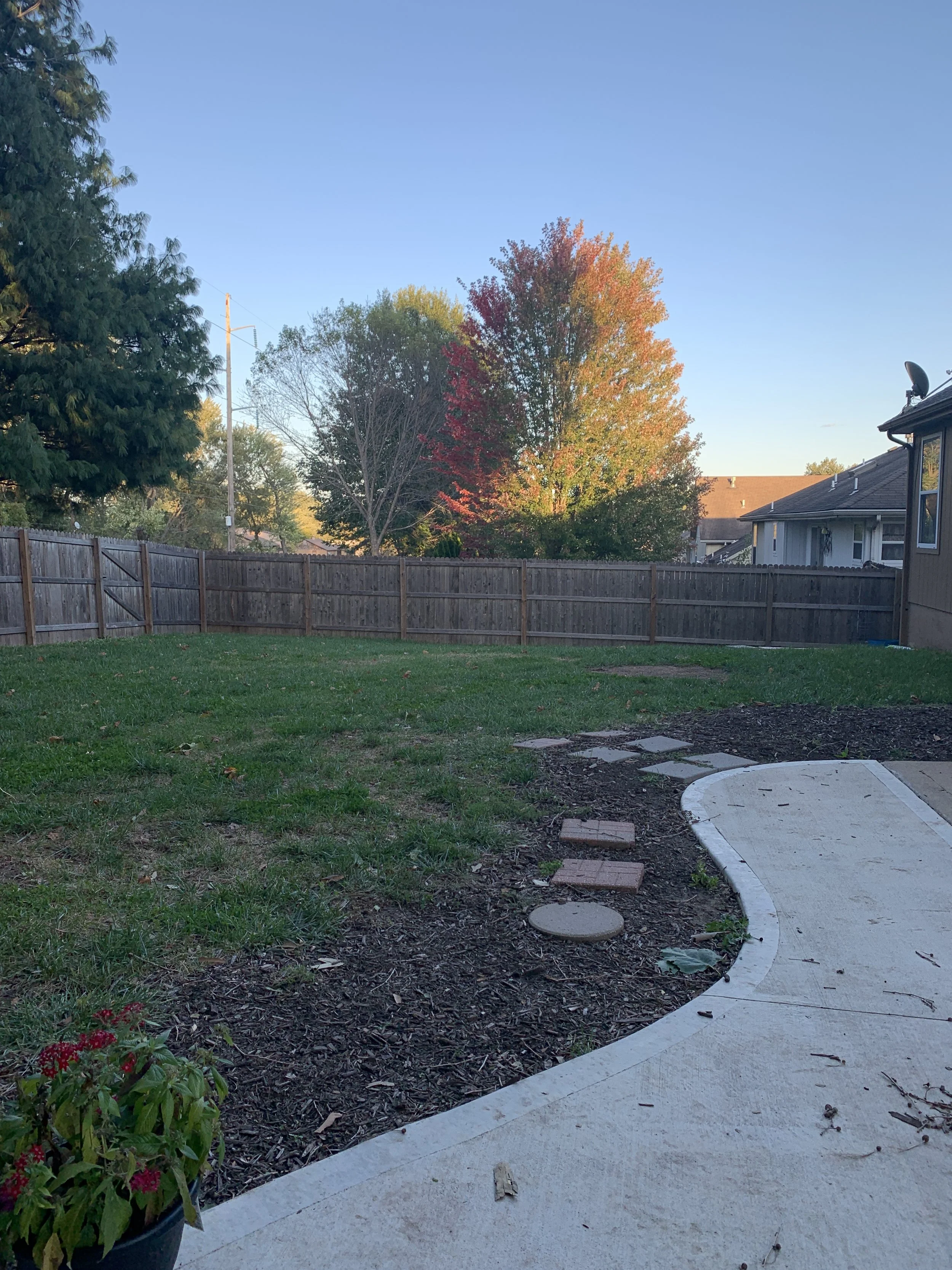 Letting go of The Leaves