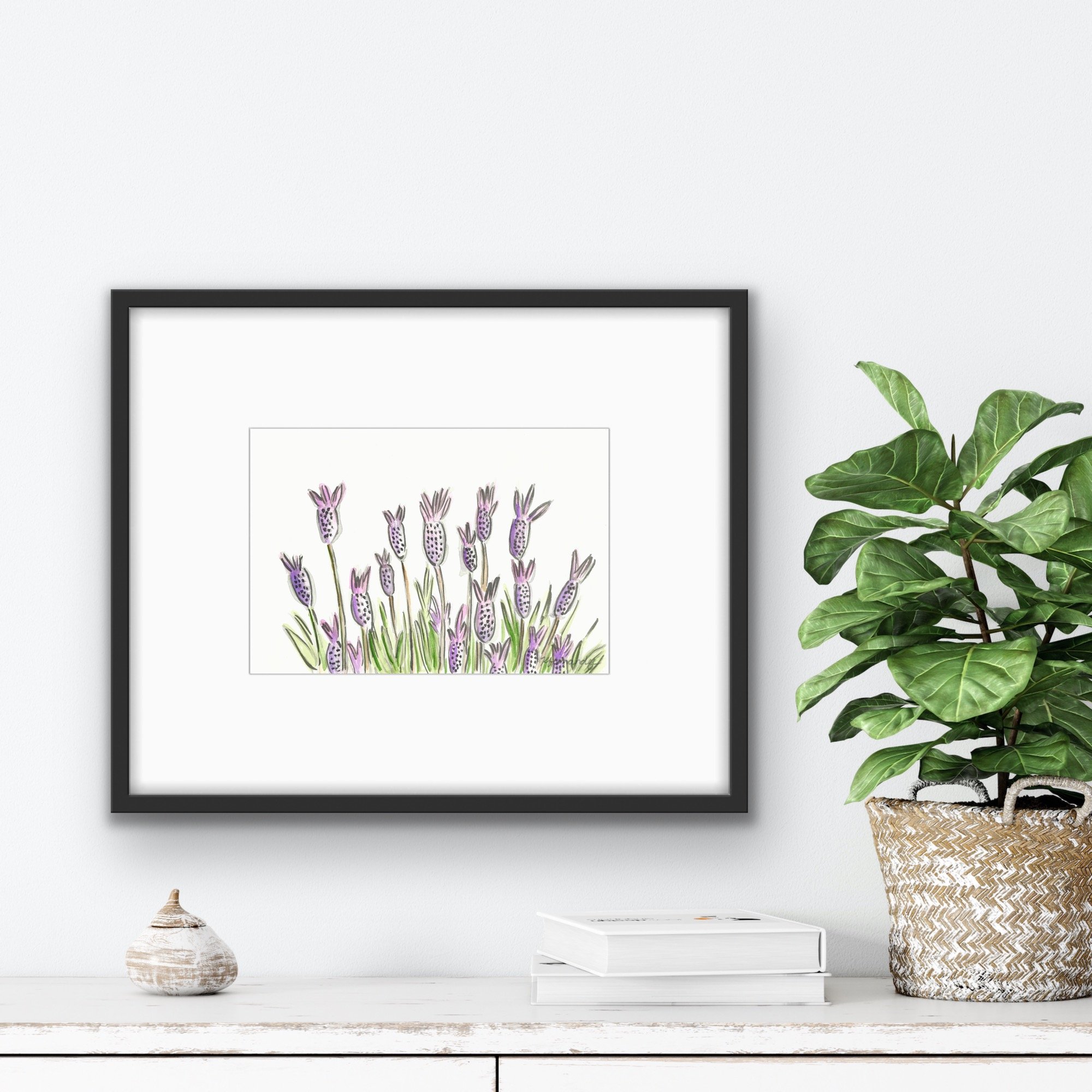 French Lavender