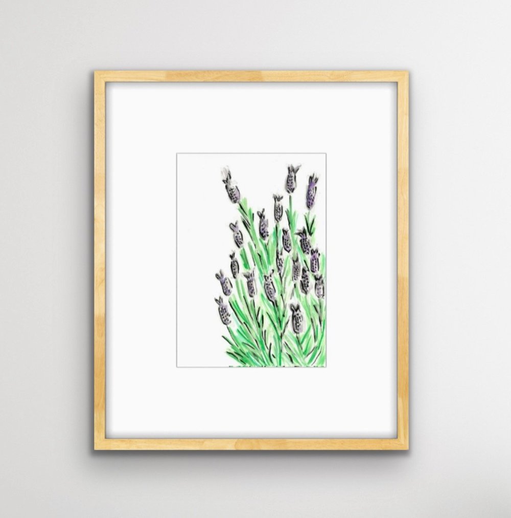 Lavender