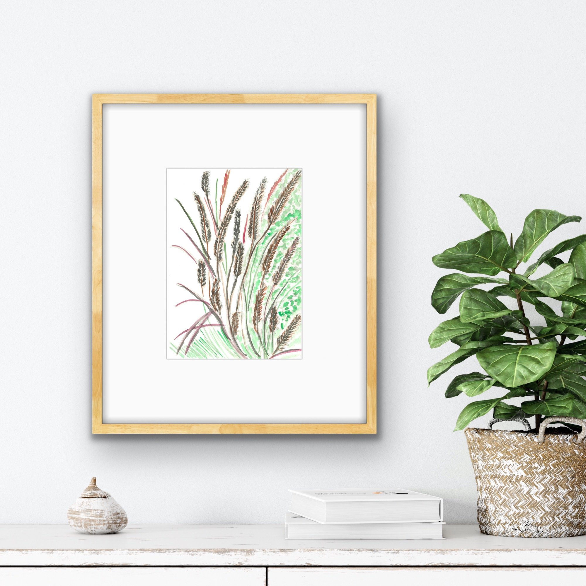Purple Fountain Grass