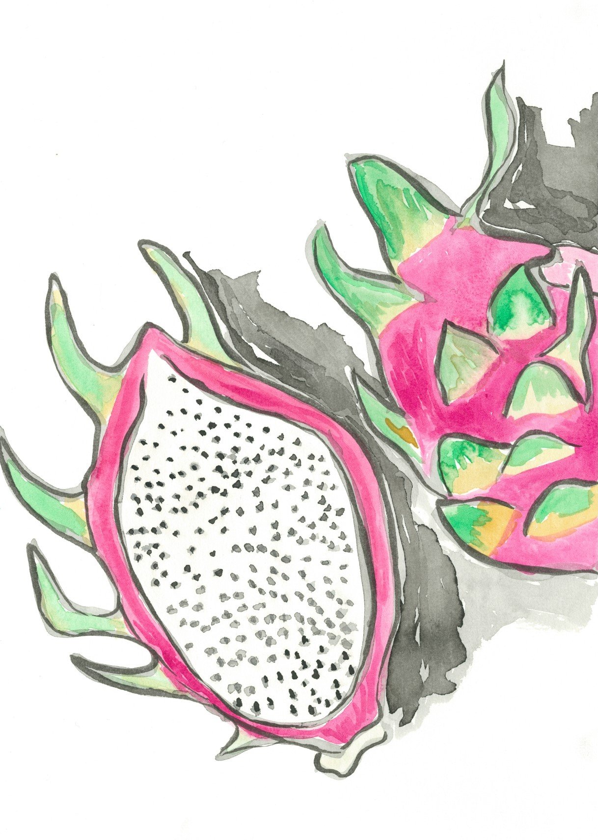 Dragonfruit_page-0001.jpg