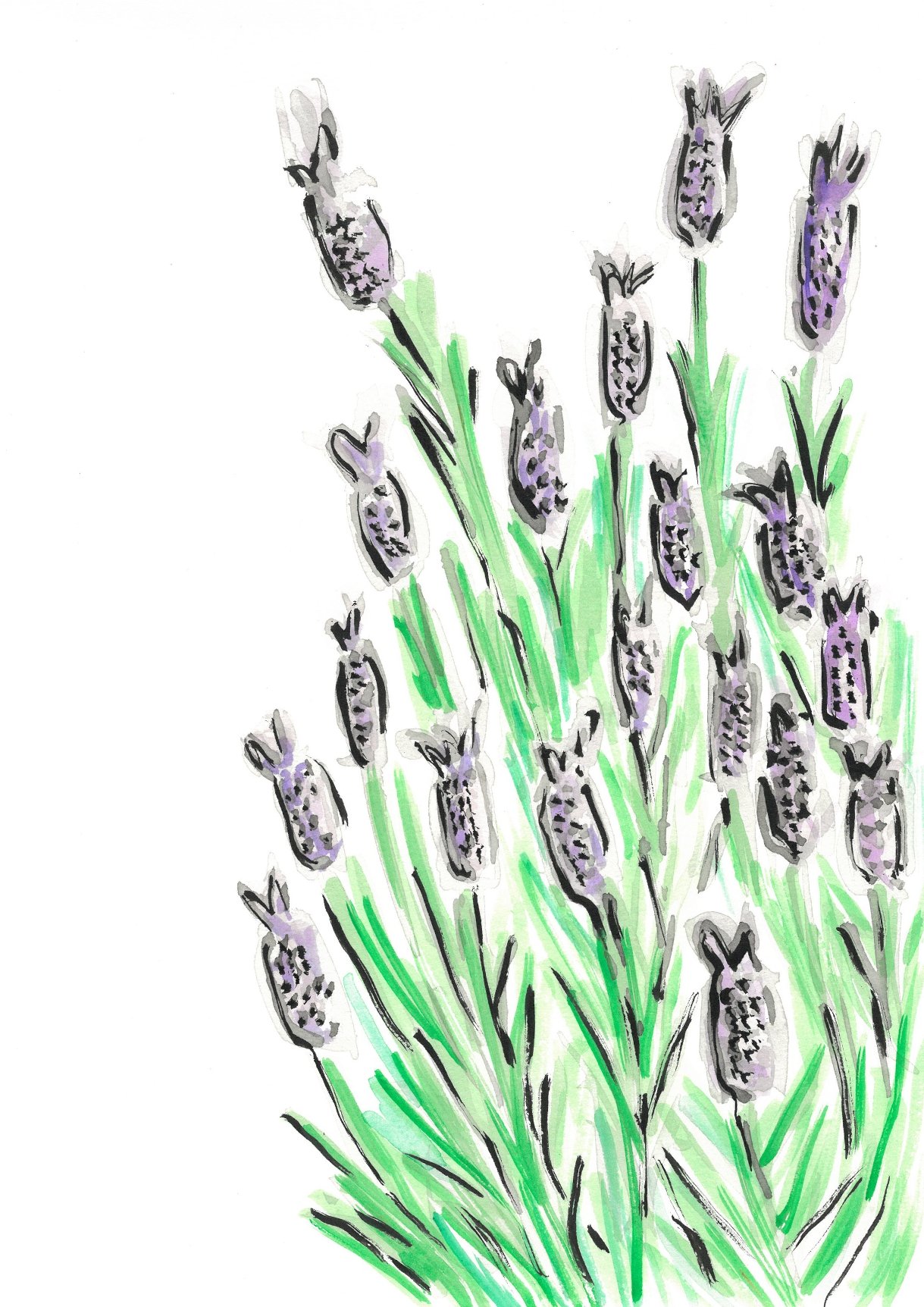 Lavender_page-0001.jpg