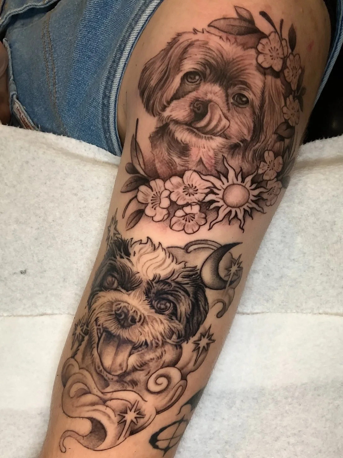 Pup portraits done by @isisfloreees 🐾
.
.
Get your pets portrait here at Buena Suerte Tattoo from black and grey to american traditional. 🌝