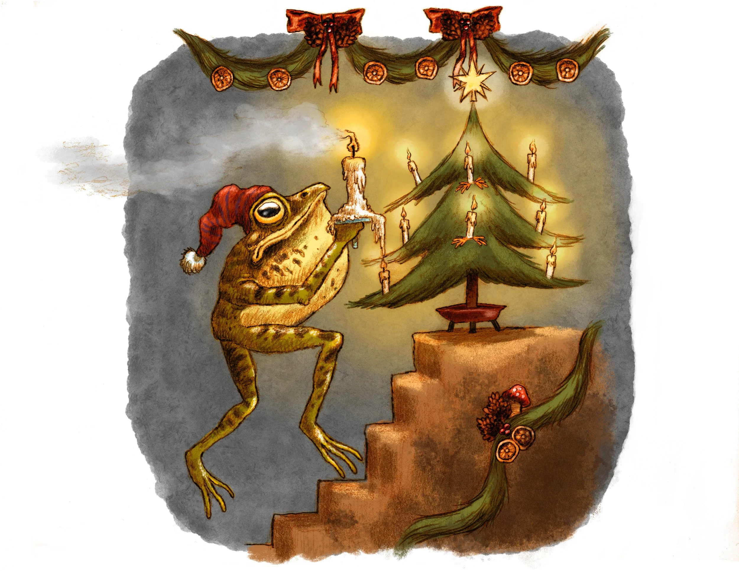 Xmas_Frog_Card.jpg