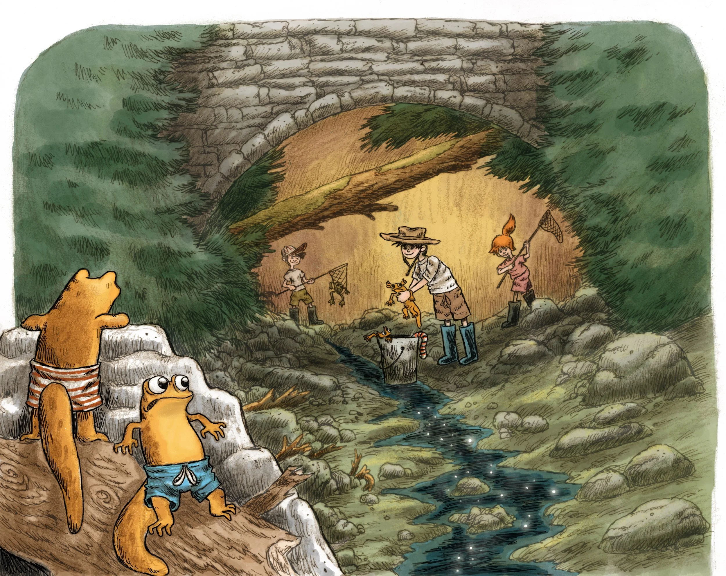Newt_Creek_copy 3.jpg