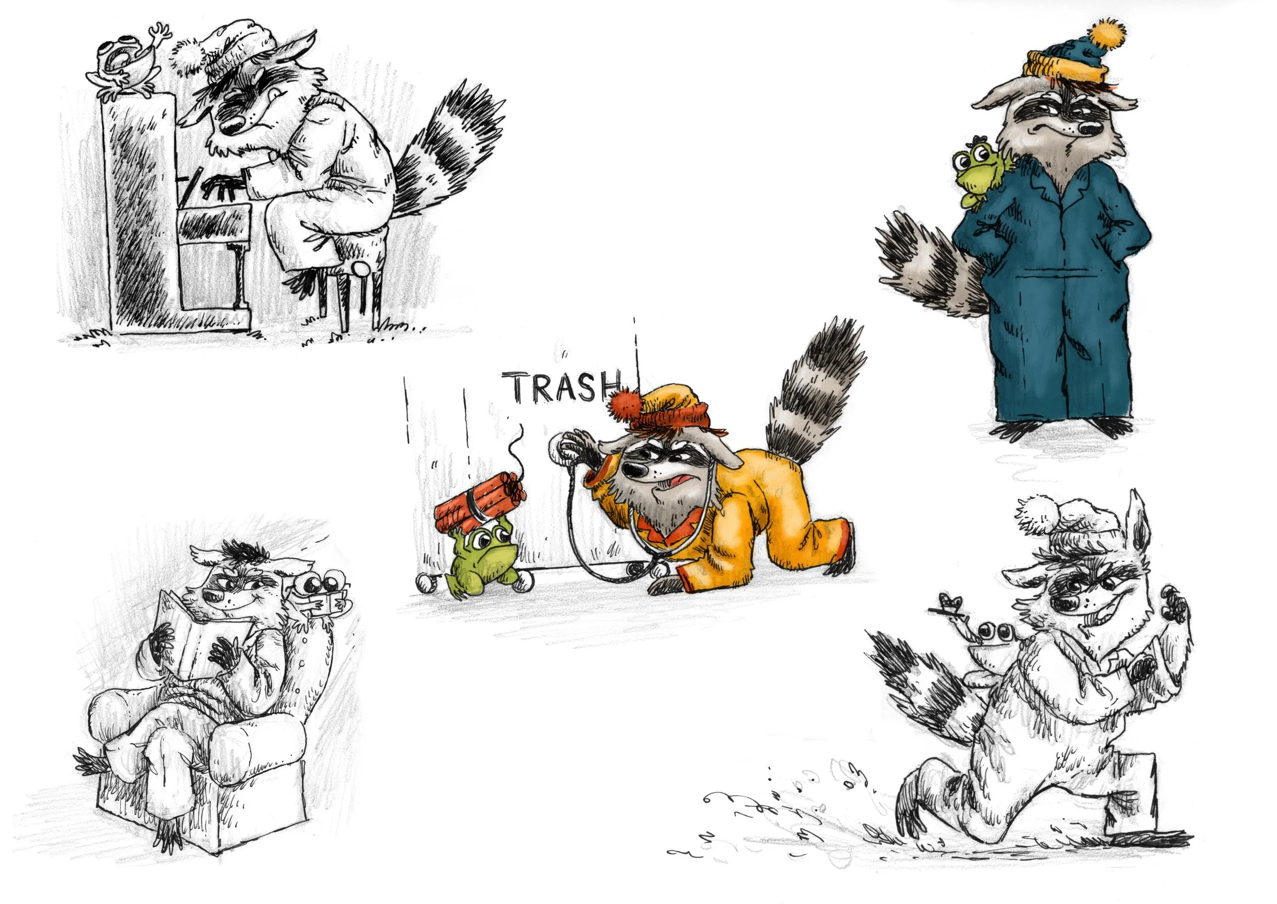 Raccoon_2_Character_Study_Revised.jpg