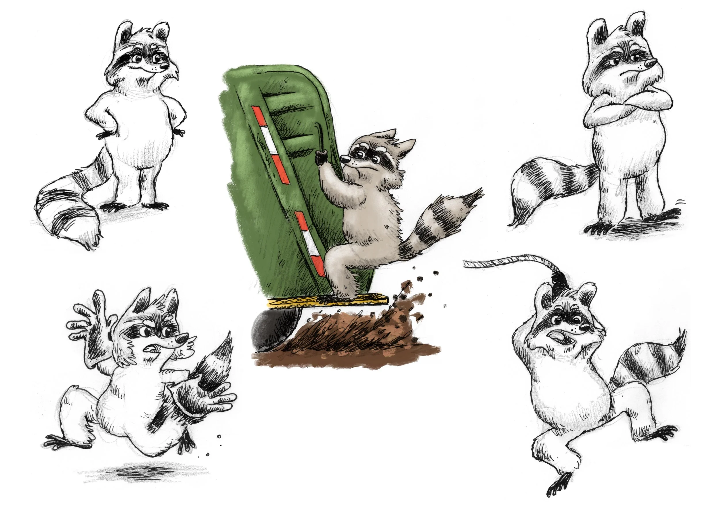 Raccoon_1_Character_Study_COLOR_B&W.jpg