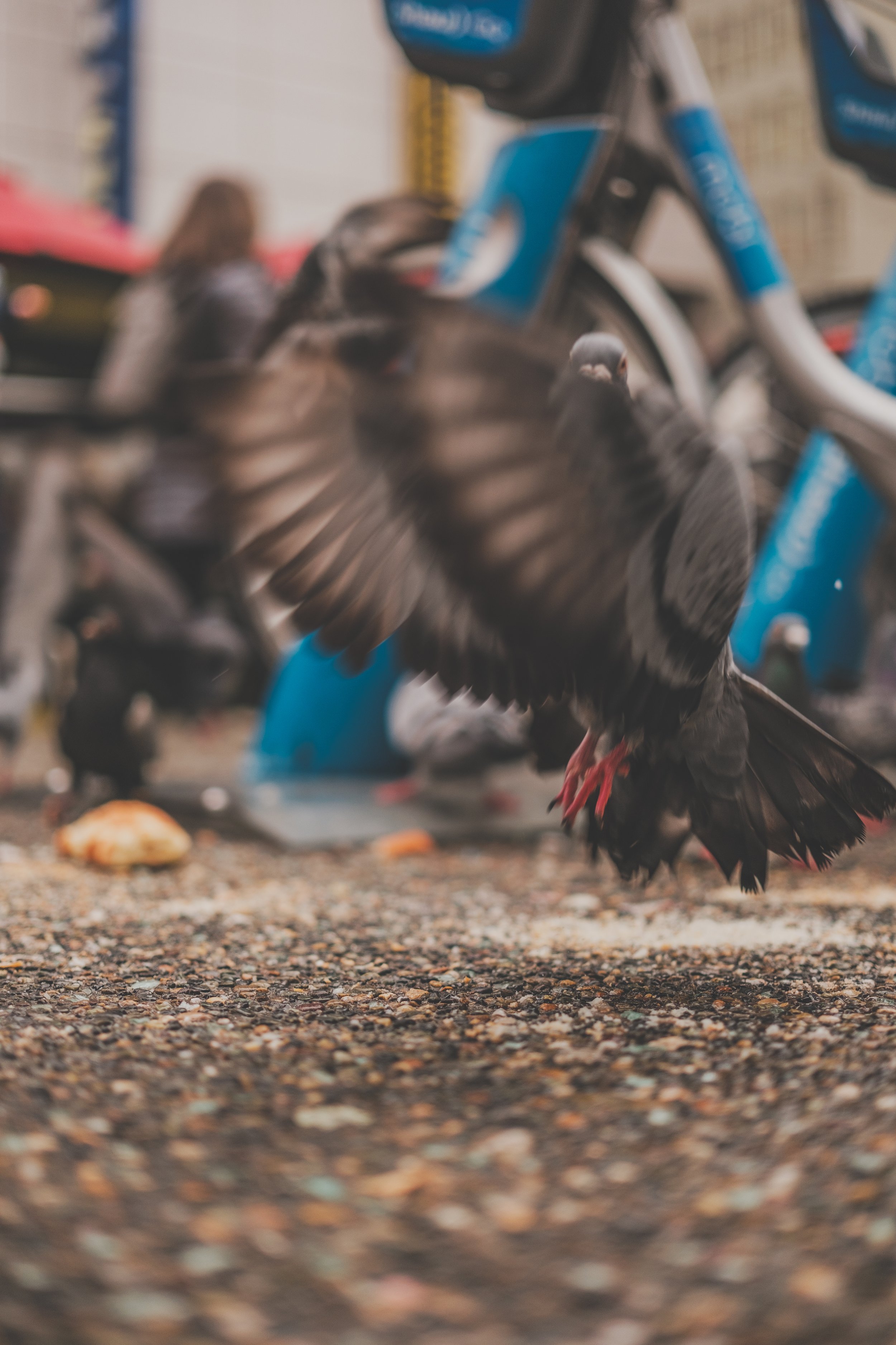 Vancouver (12-30-2022)-5.jpg