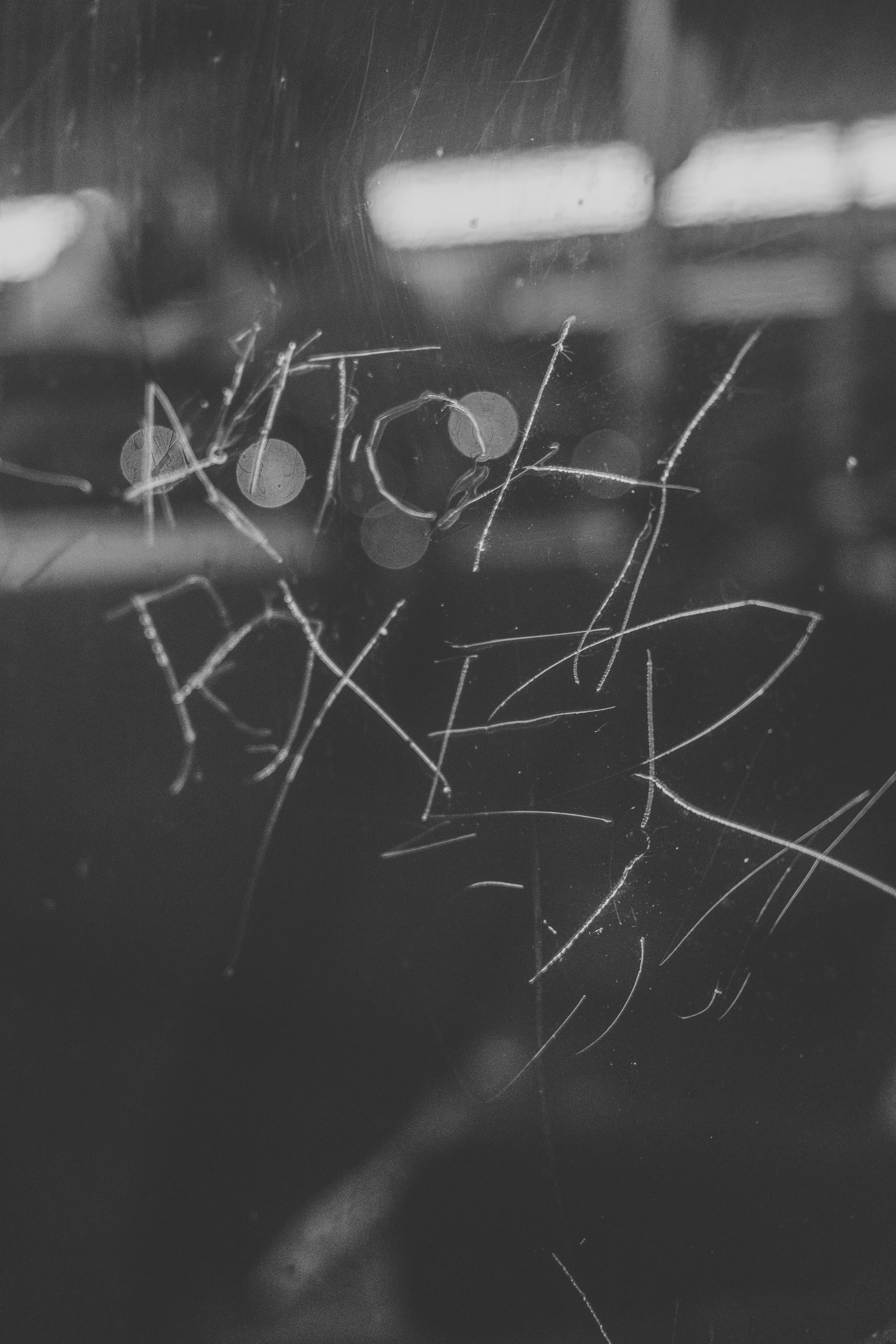 Taking the Metro 240 (04-05-2023)-3.jpg