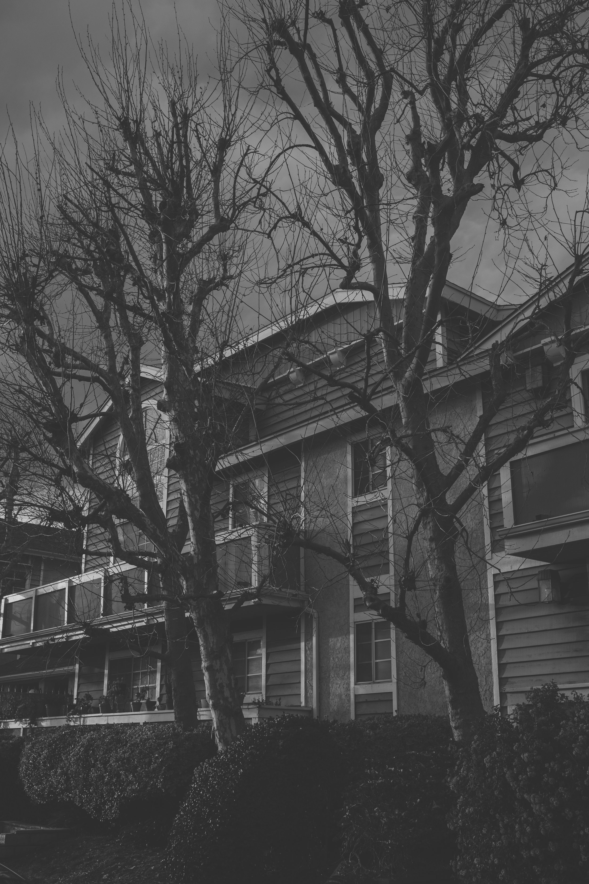 CSUN Housing (02-26-2023)-2.jpg