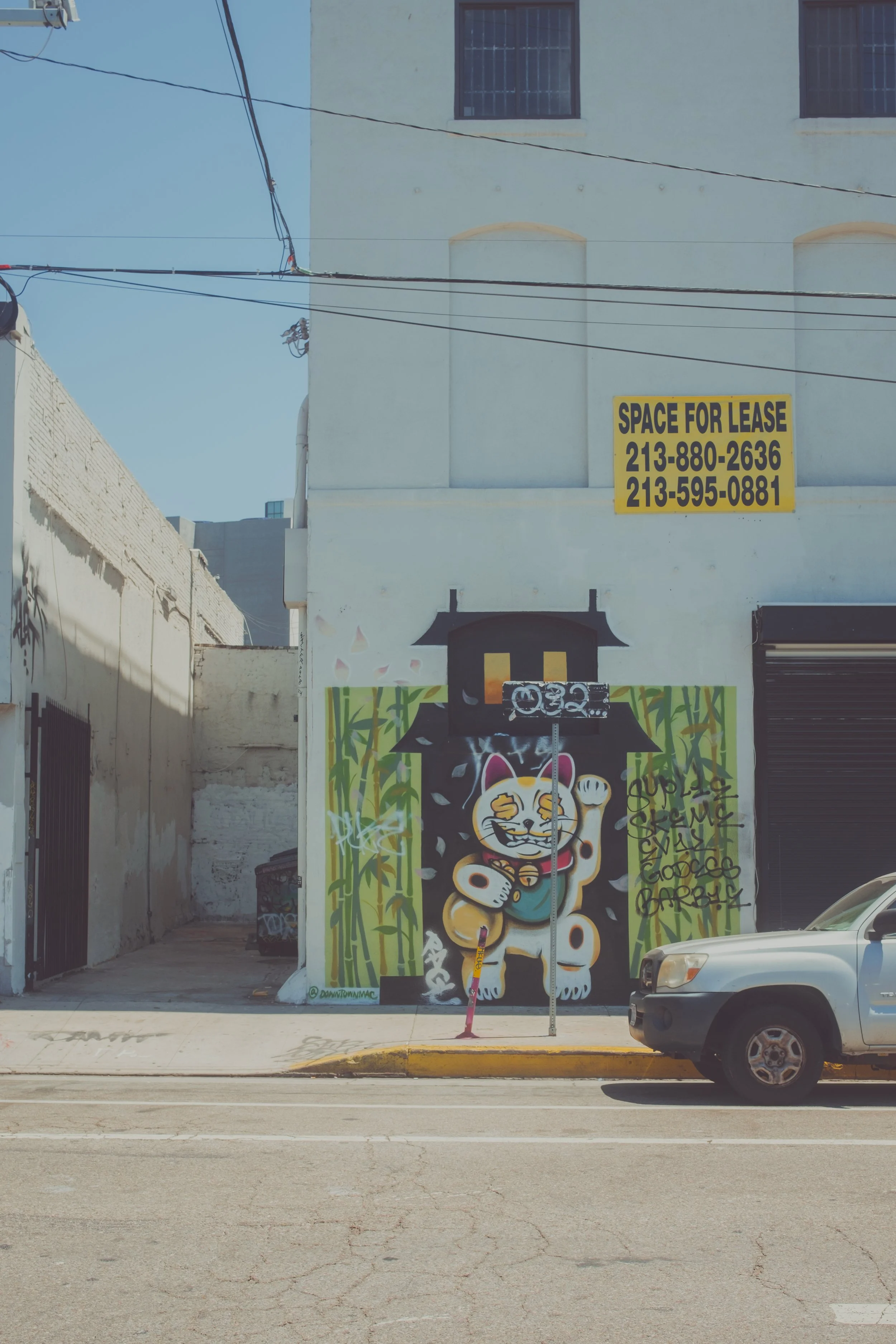 Downtown LA (06-22-2024)-3.jpg