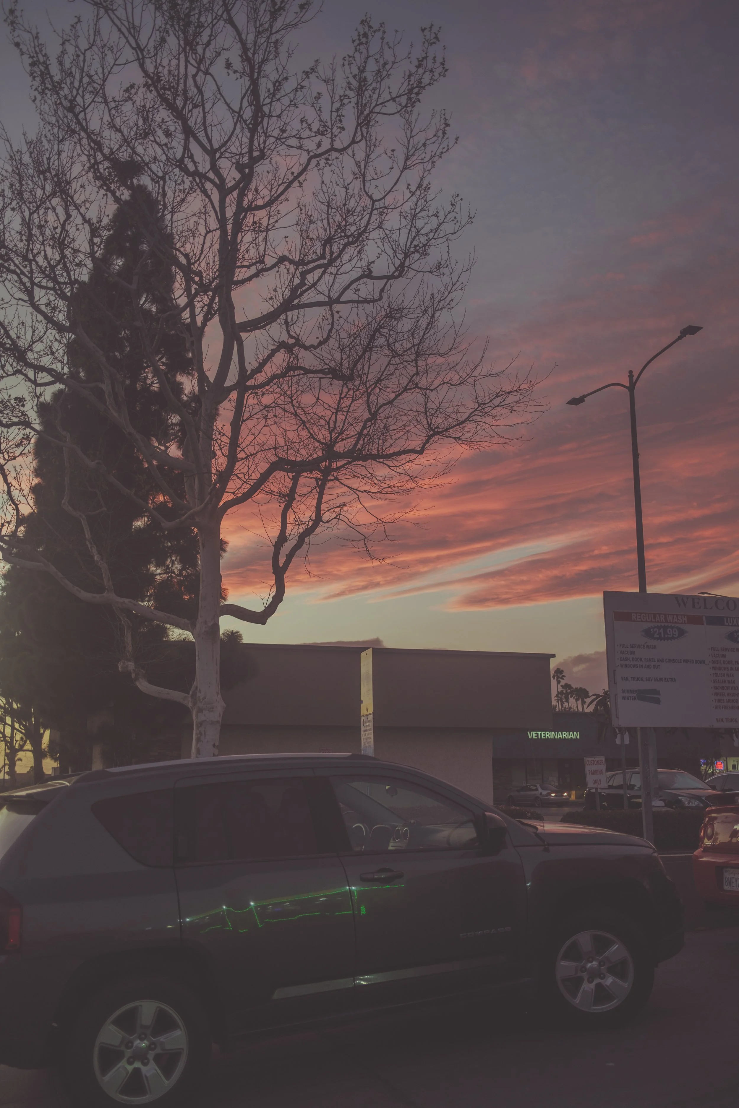 Tacos in Oxnard (02-21-2023)-8.jpg