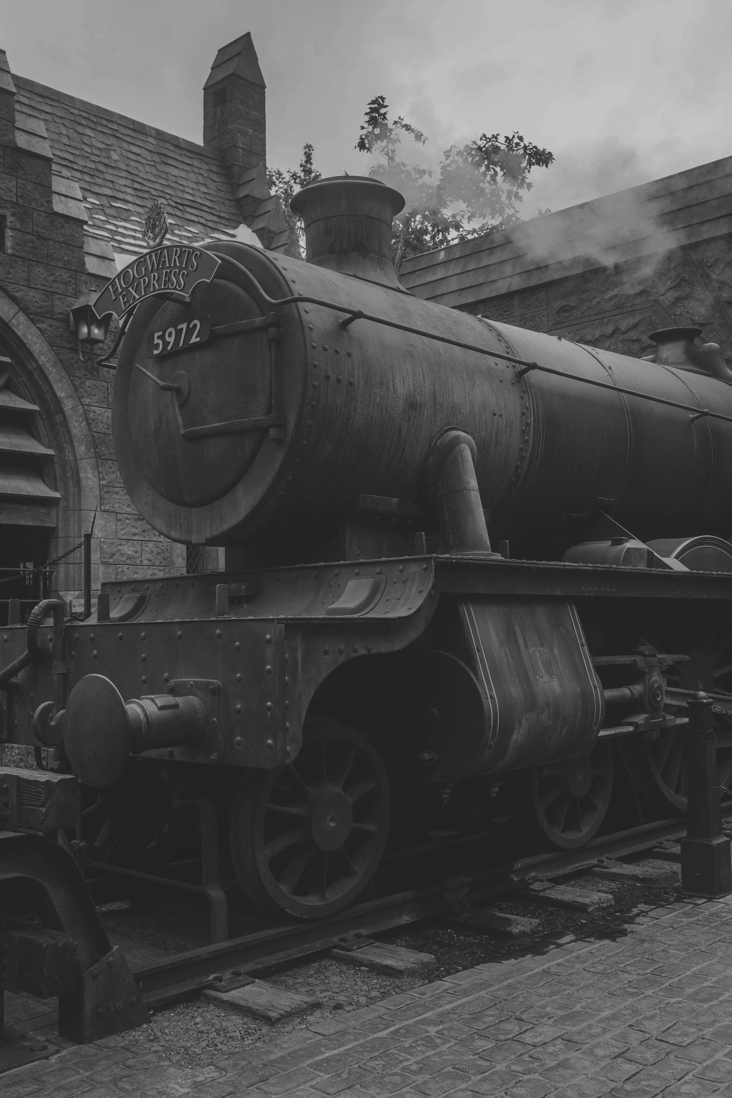 Universal Studios Hollywood - Wizarding World (05-24-2023)-27.jpg