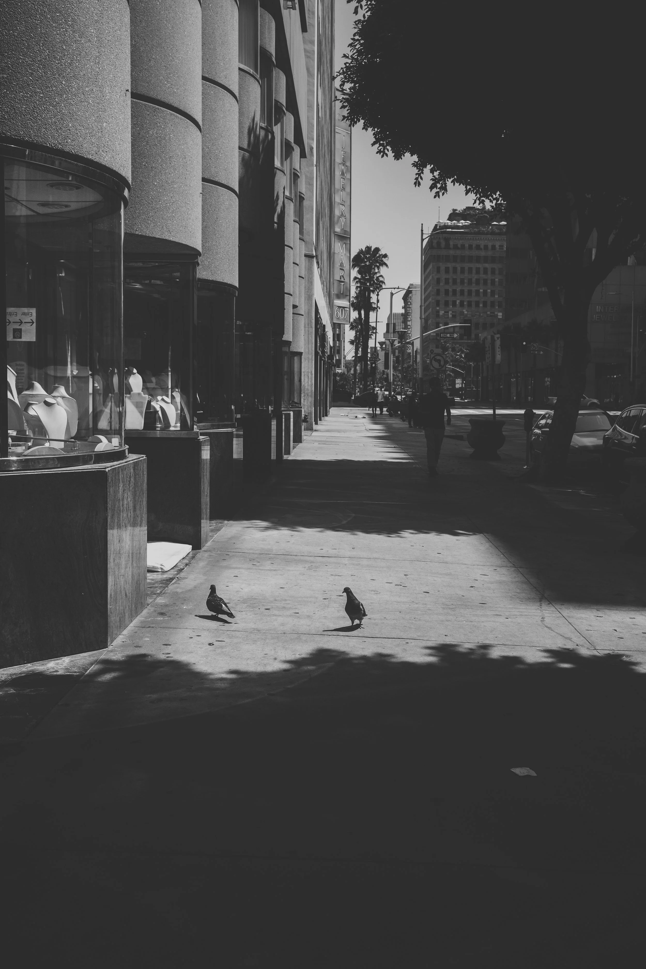 Downtown LA (06-16-2024)-2.jpg