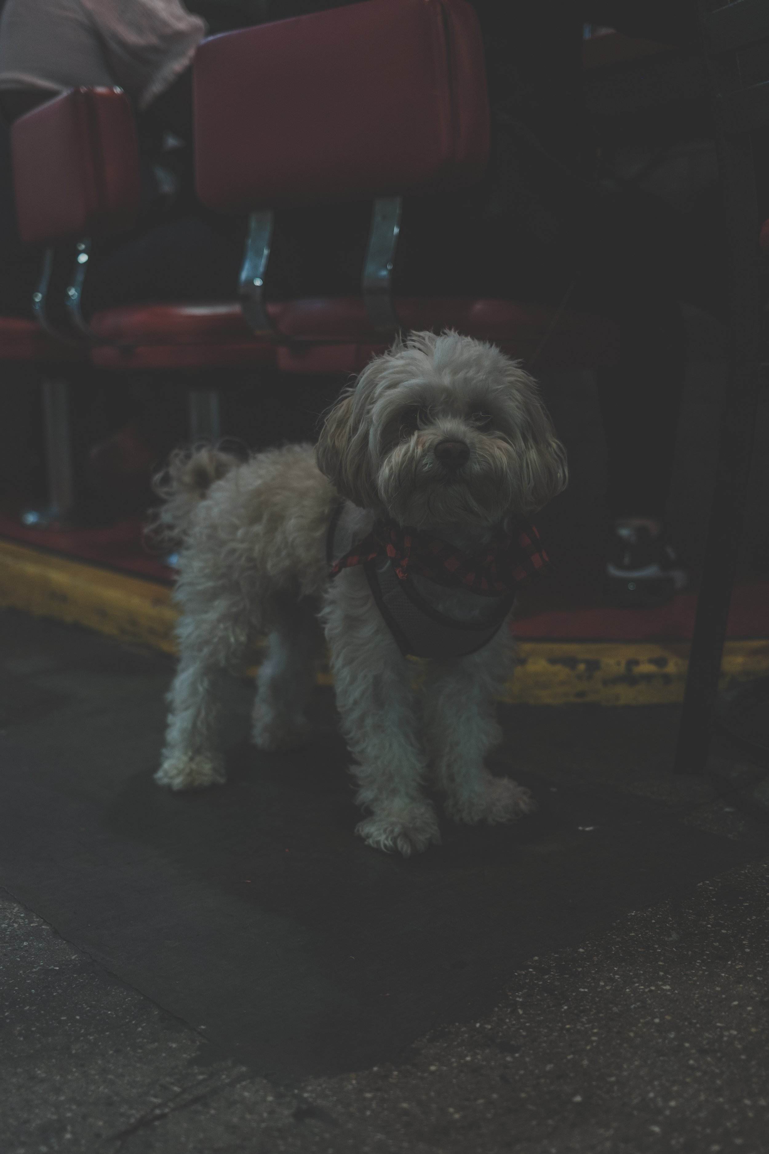 Grand Central Market-19.jpg