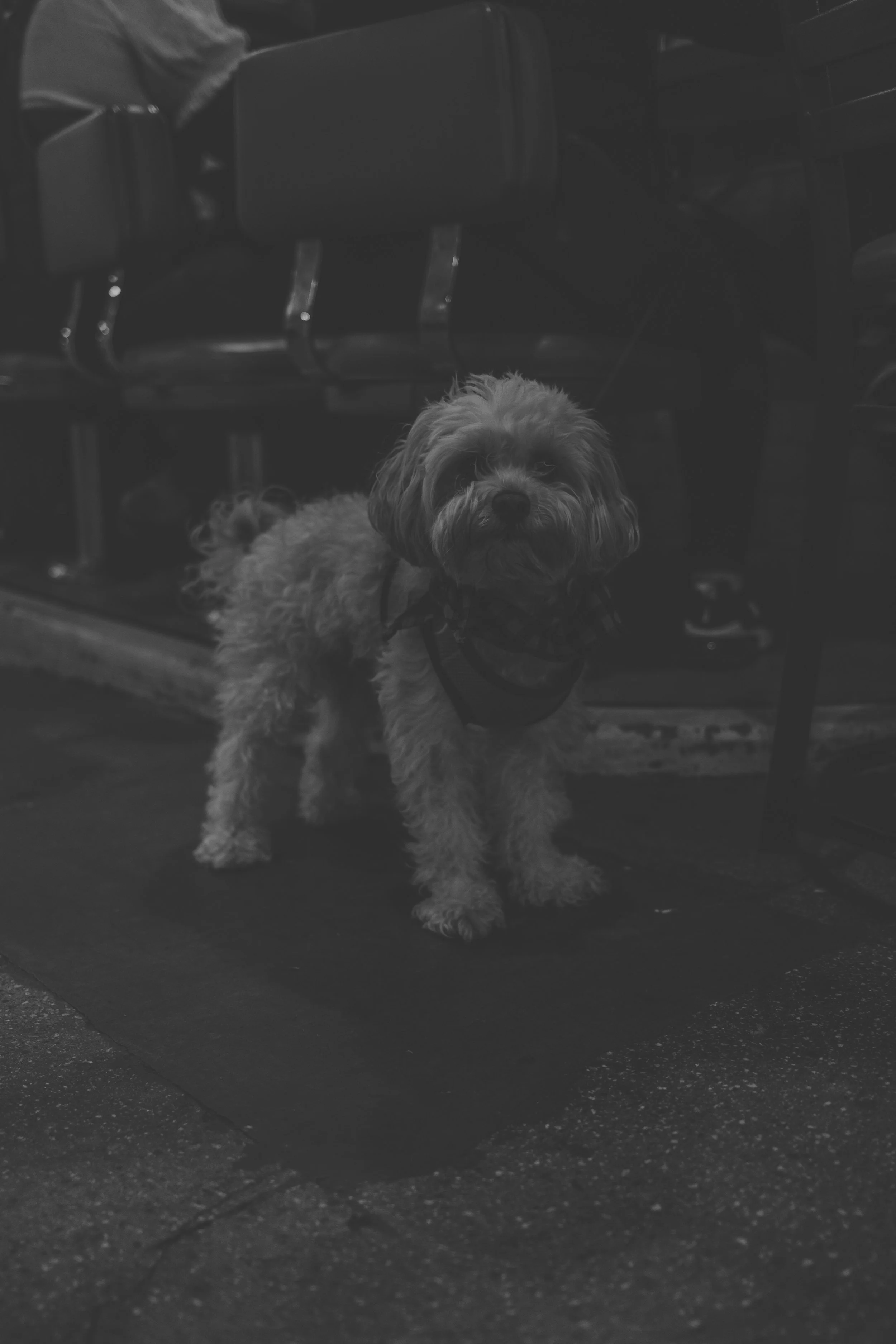 Grand Central Market-18.jpg