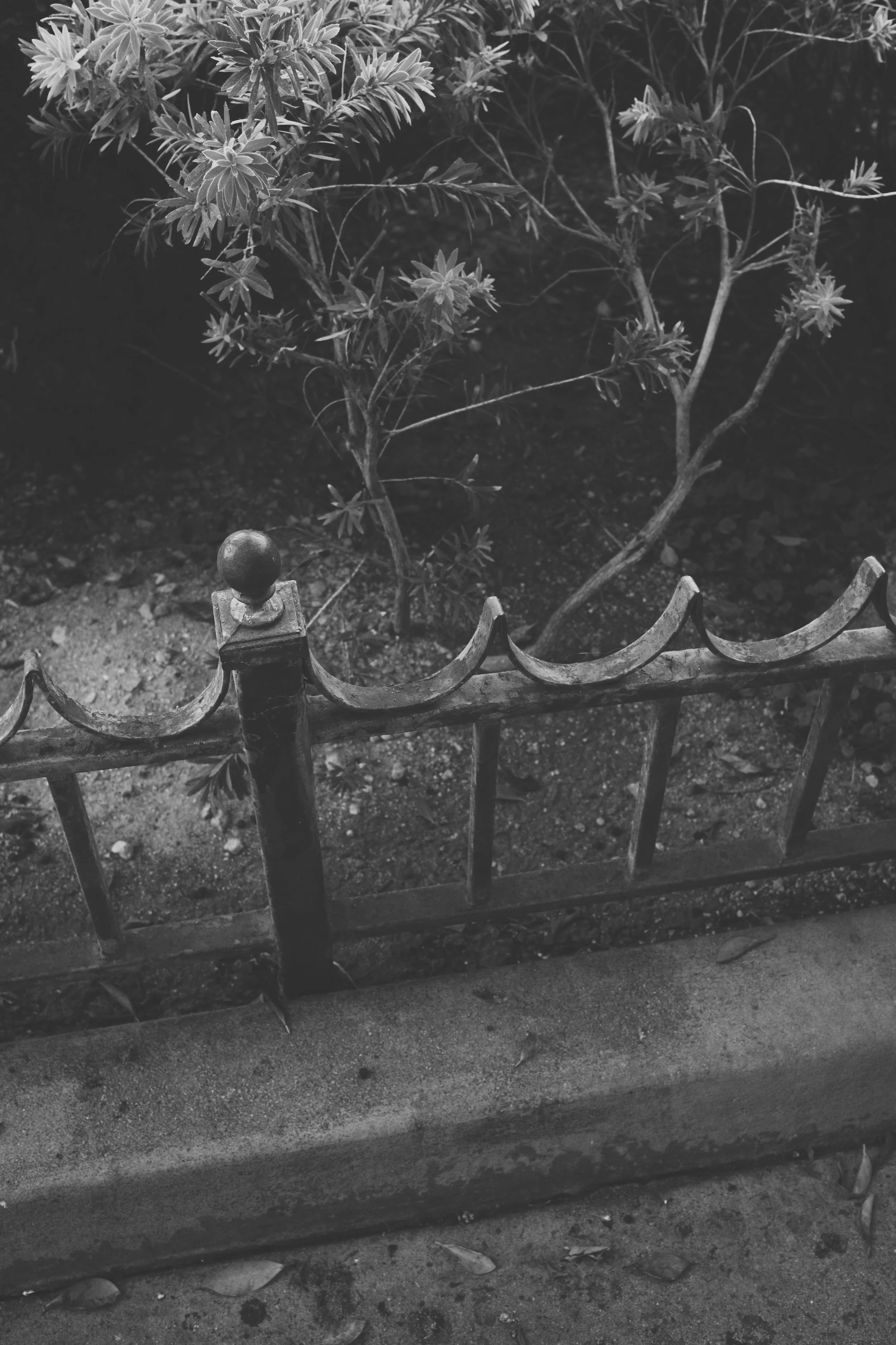 Uptown Whittier (08-21-2024)-4.jpg