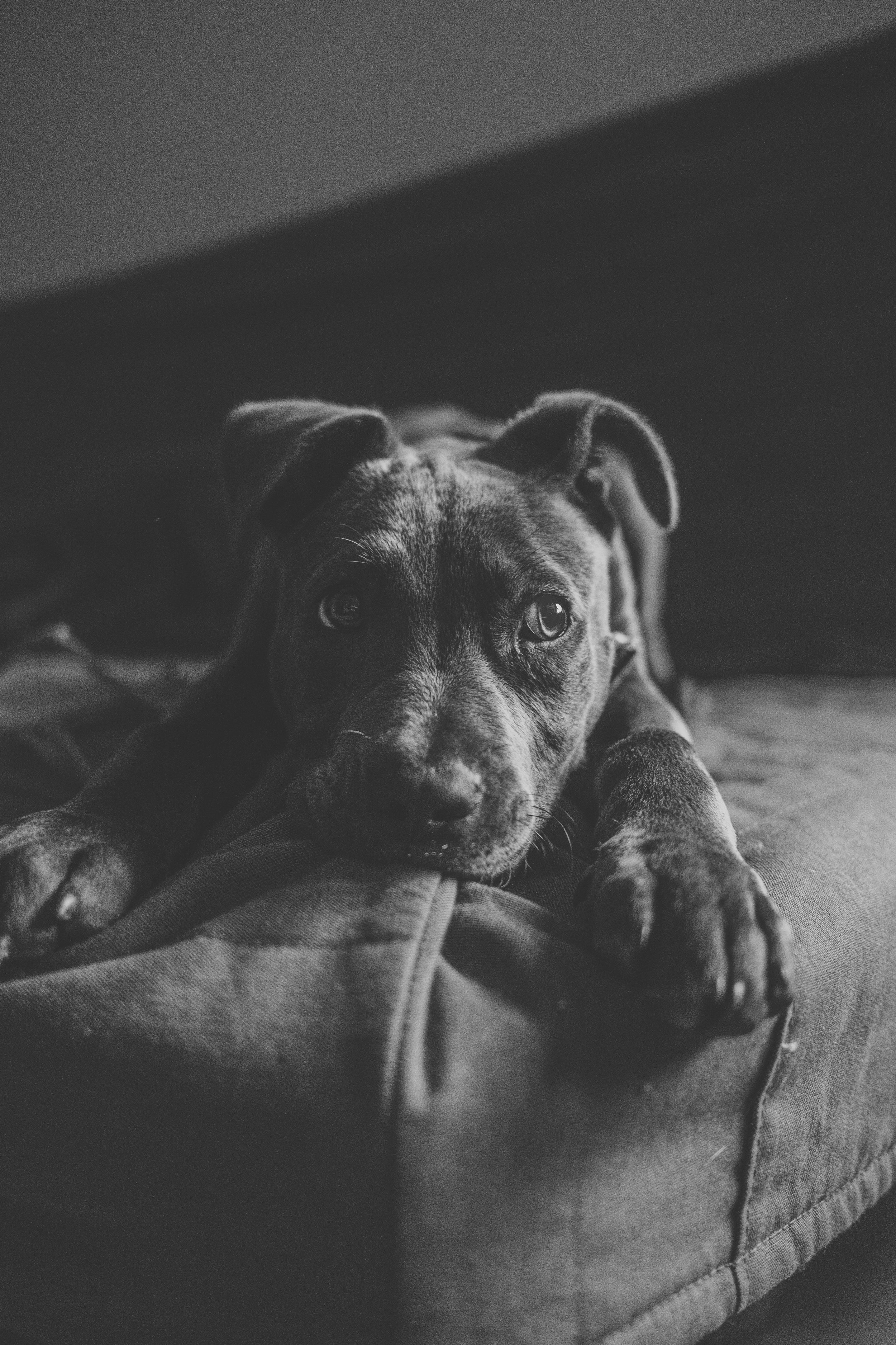 Phoebe (03-07-2022)-2.jpg
