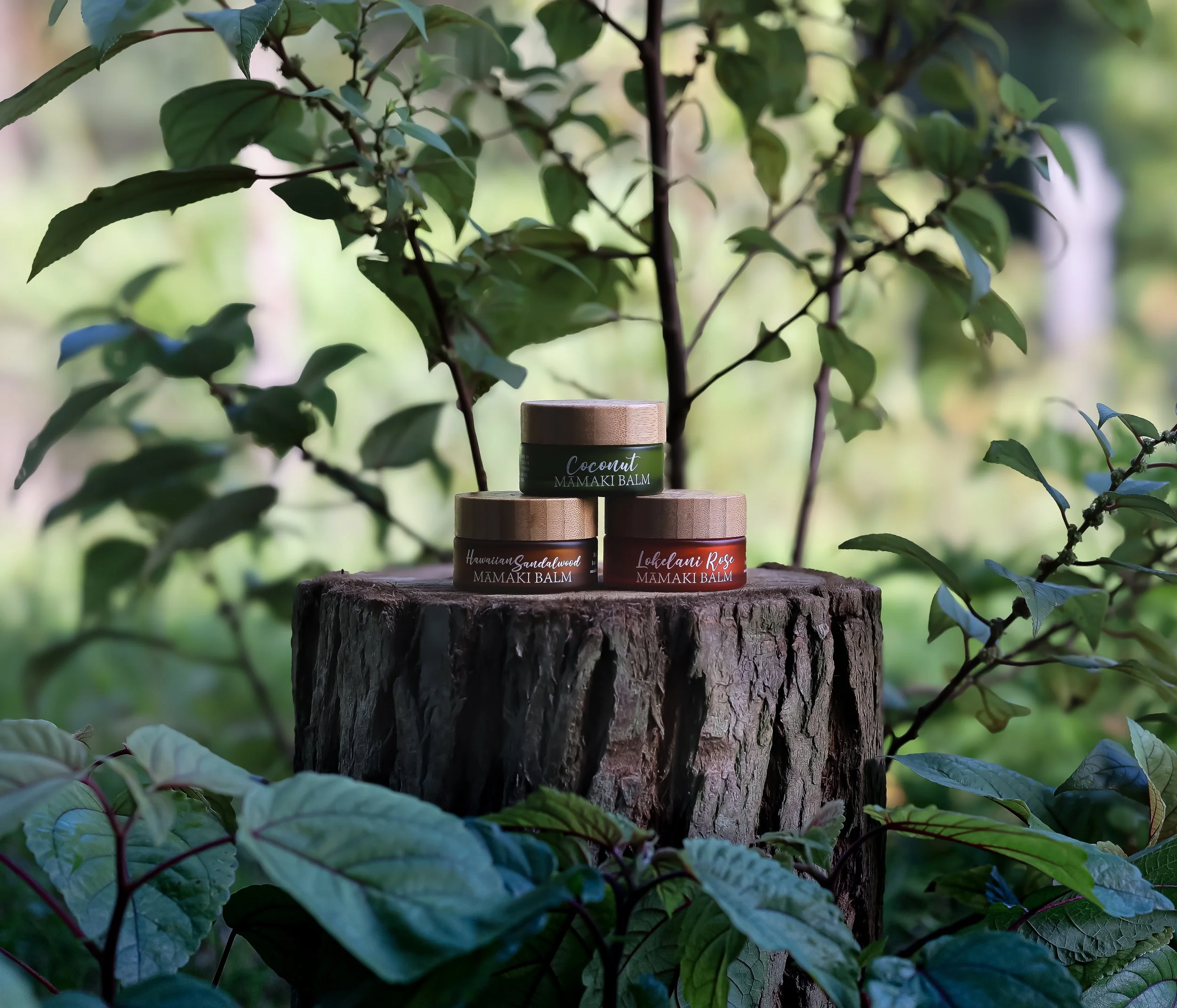 Three jars of MAMAKI BALM skincare products placed on a tree stump outdoors, with green leaves and branches in the background.