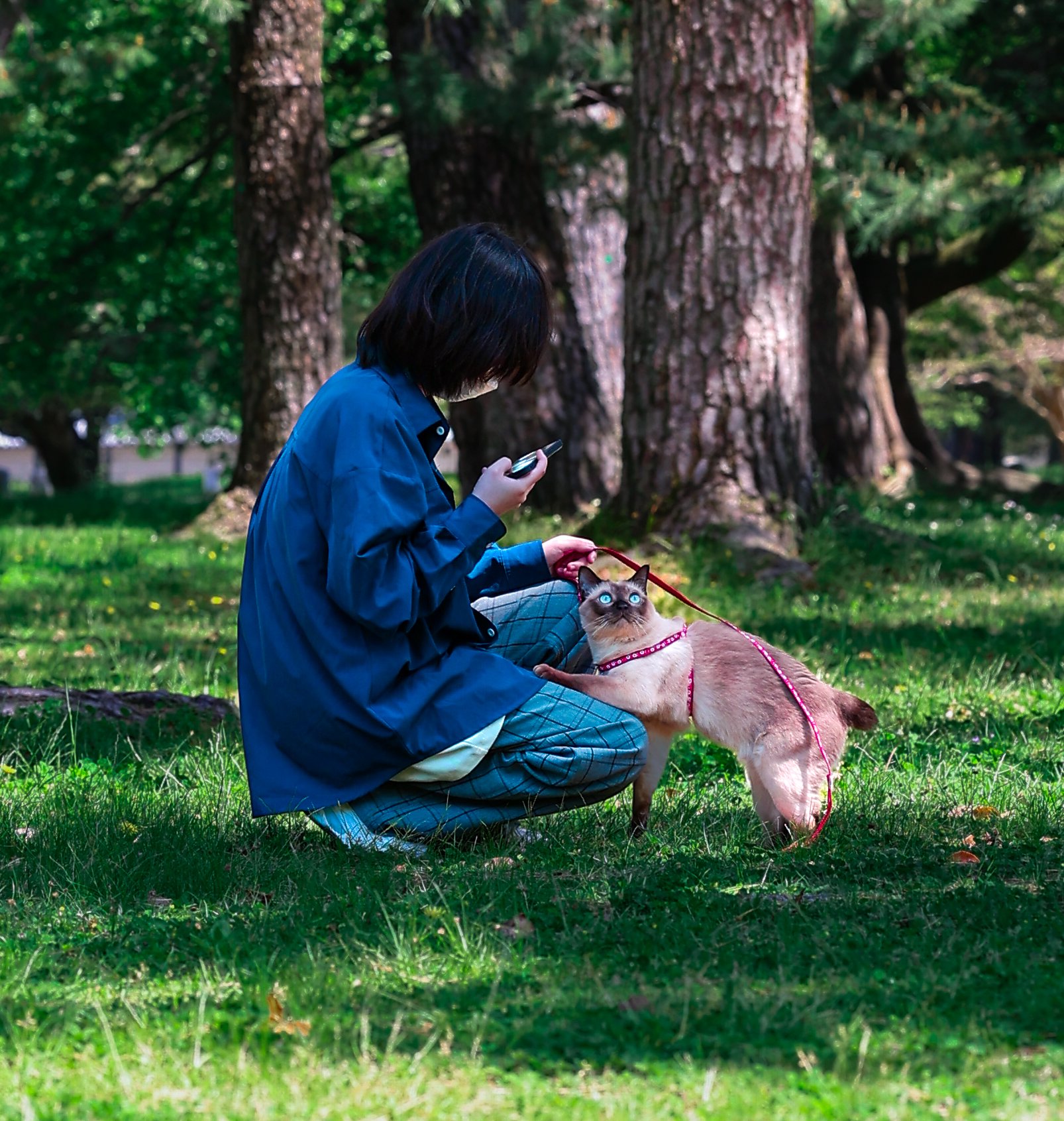 A young woman with shoulder-length dark hair and a blue jacket crouching on grass in a park, holding a smartphone and a brown dog with blue eyes and a red leash, sitting on the grass with one paw raised, surrounded by tall trees in the background.