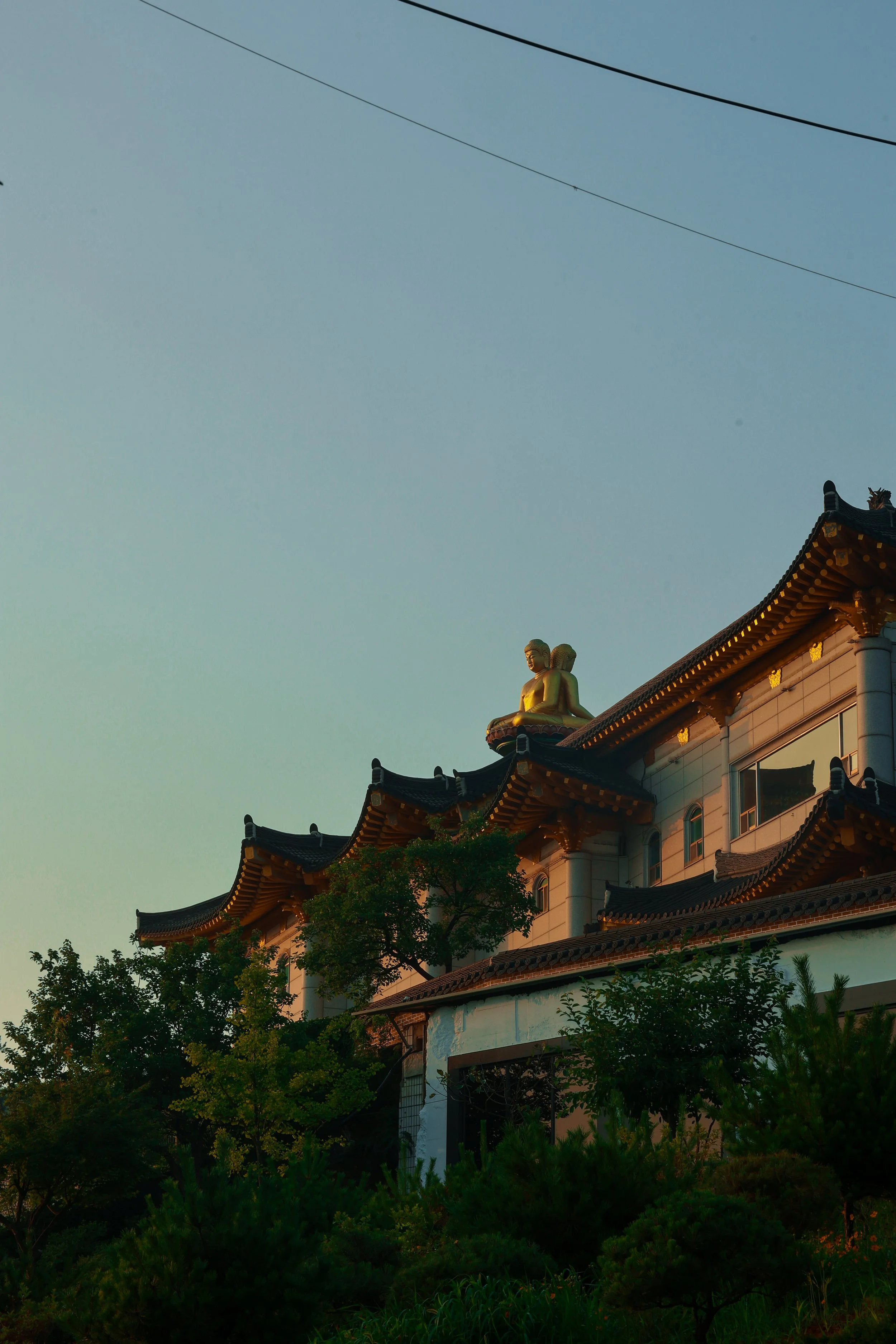 Traditional East Asian temple with multiple tiered, curved roofs, golden statues on the roof, surrounded by trees, captured during sunset.