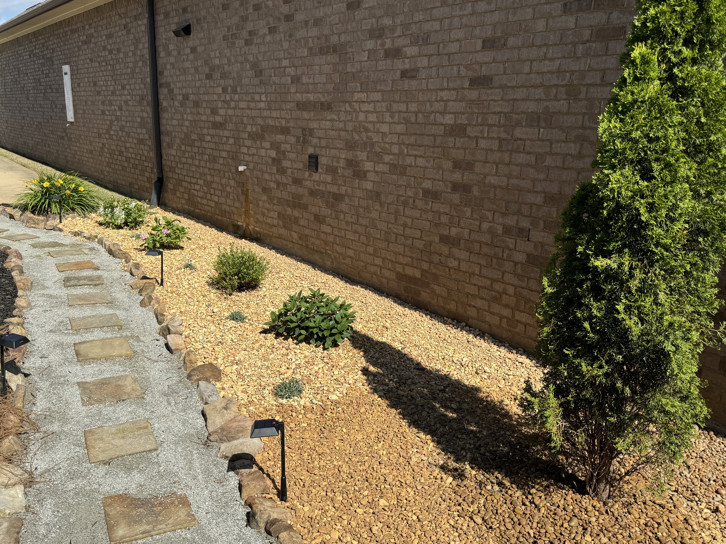 Garden path with stepping stones surrounded by mulch and plants next to a brick wall.