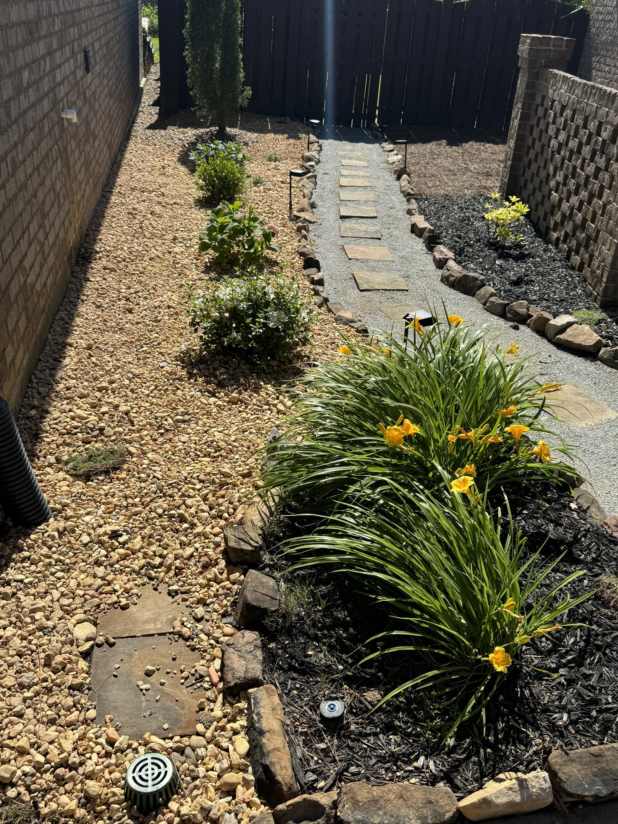 Garden path with stone walkway, surrounded by gravel and green plants with yellow flowers, near brick walls.