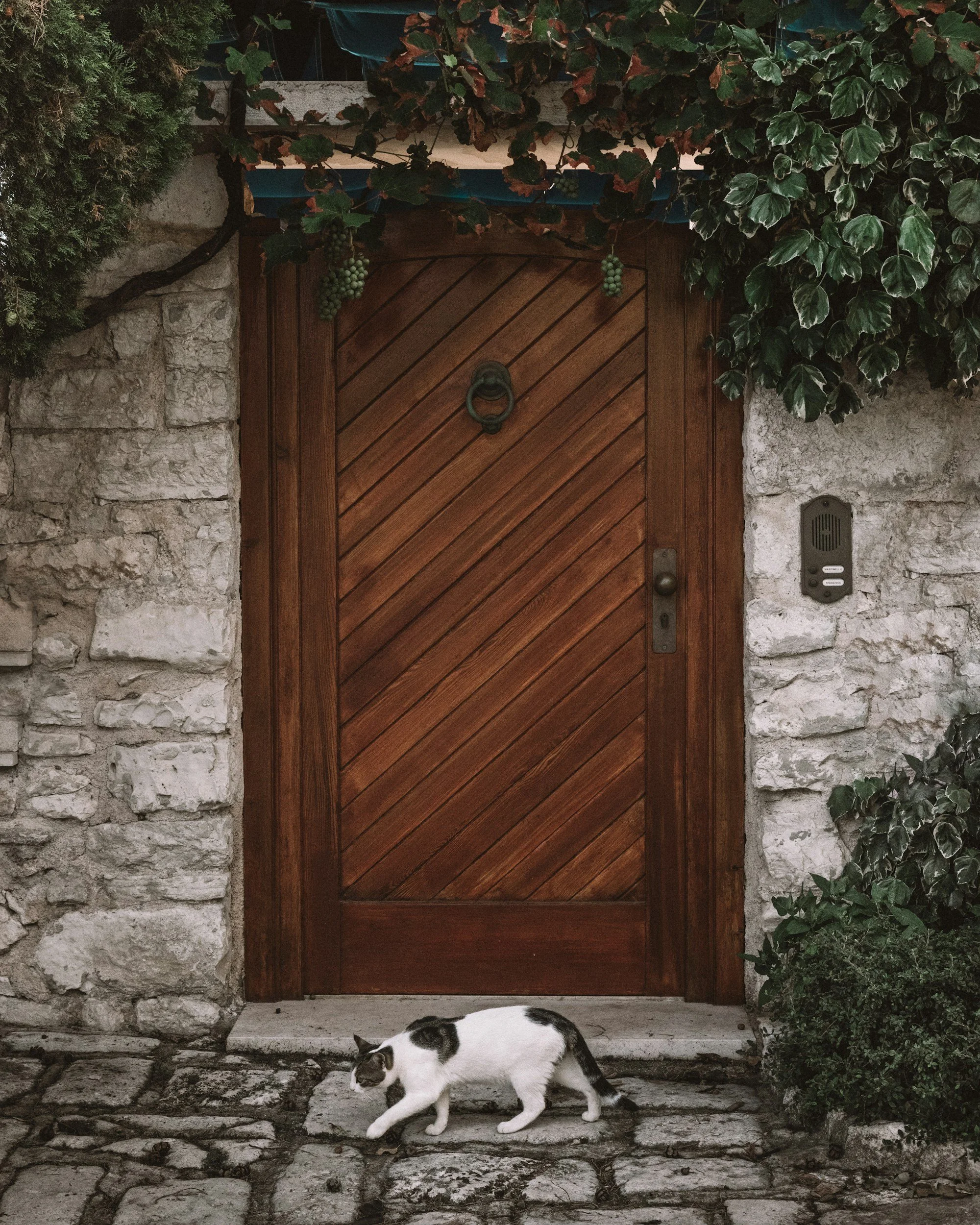 unsplash-image-ahRErl1zyaQ.jpg
