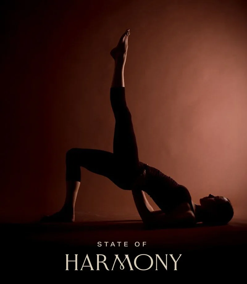 Branding, Packaging and Website graphic design by Jordan Evans for State of Harmony