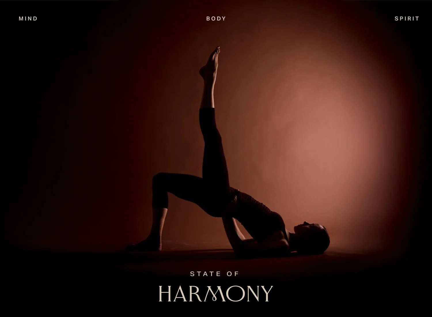 STATE OF HARMONY [brand identity]