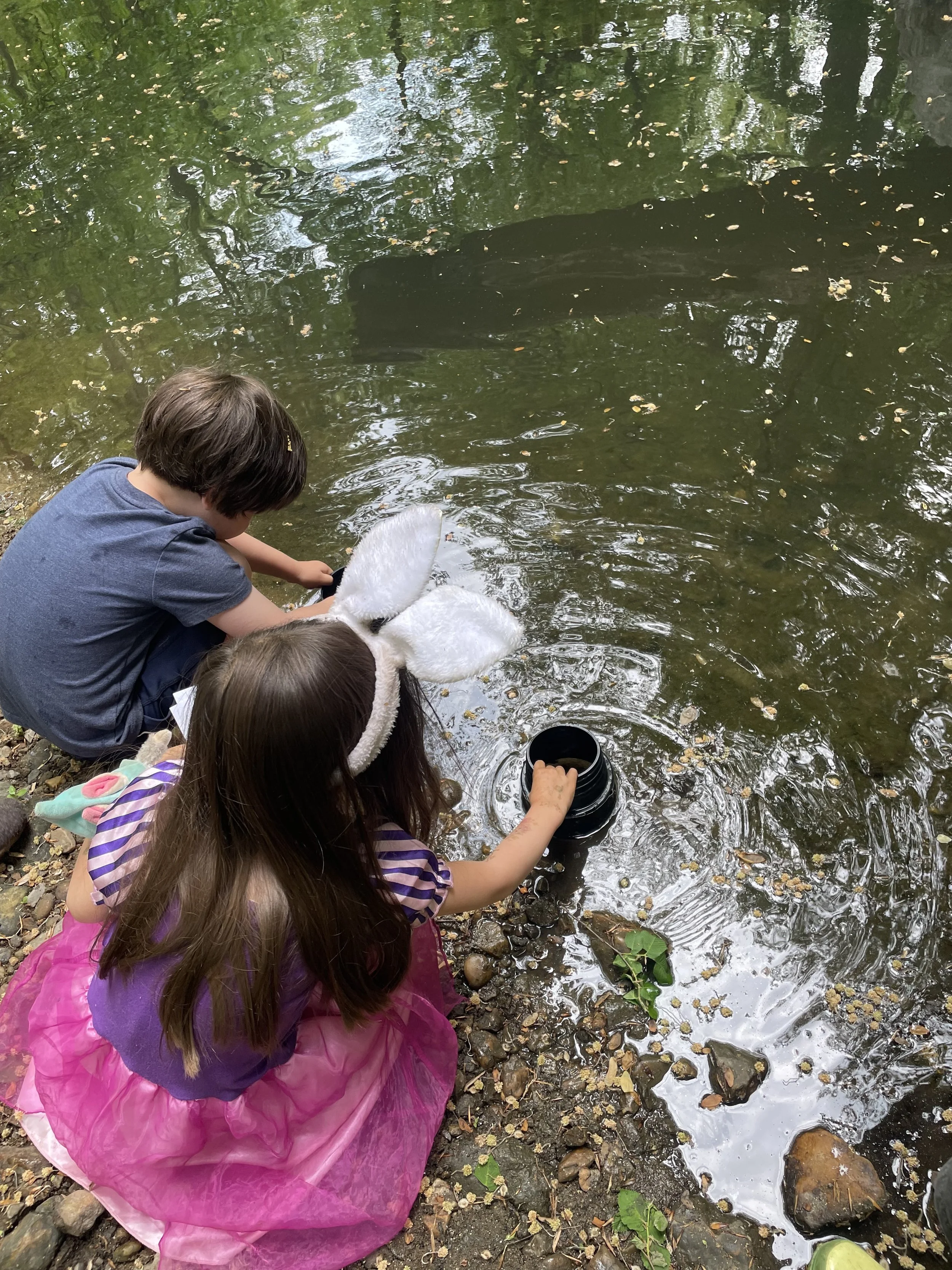 Two children pause together at the creek’s edge, watching fish move through the water — a moment of shared curiosity and outdoor learning in our Takoma Park cooperative preschool.