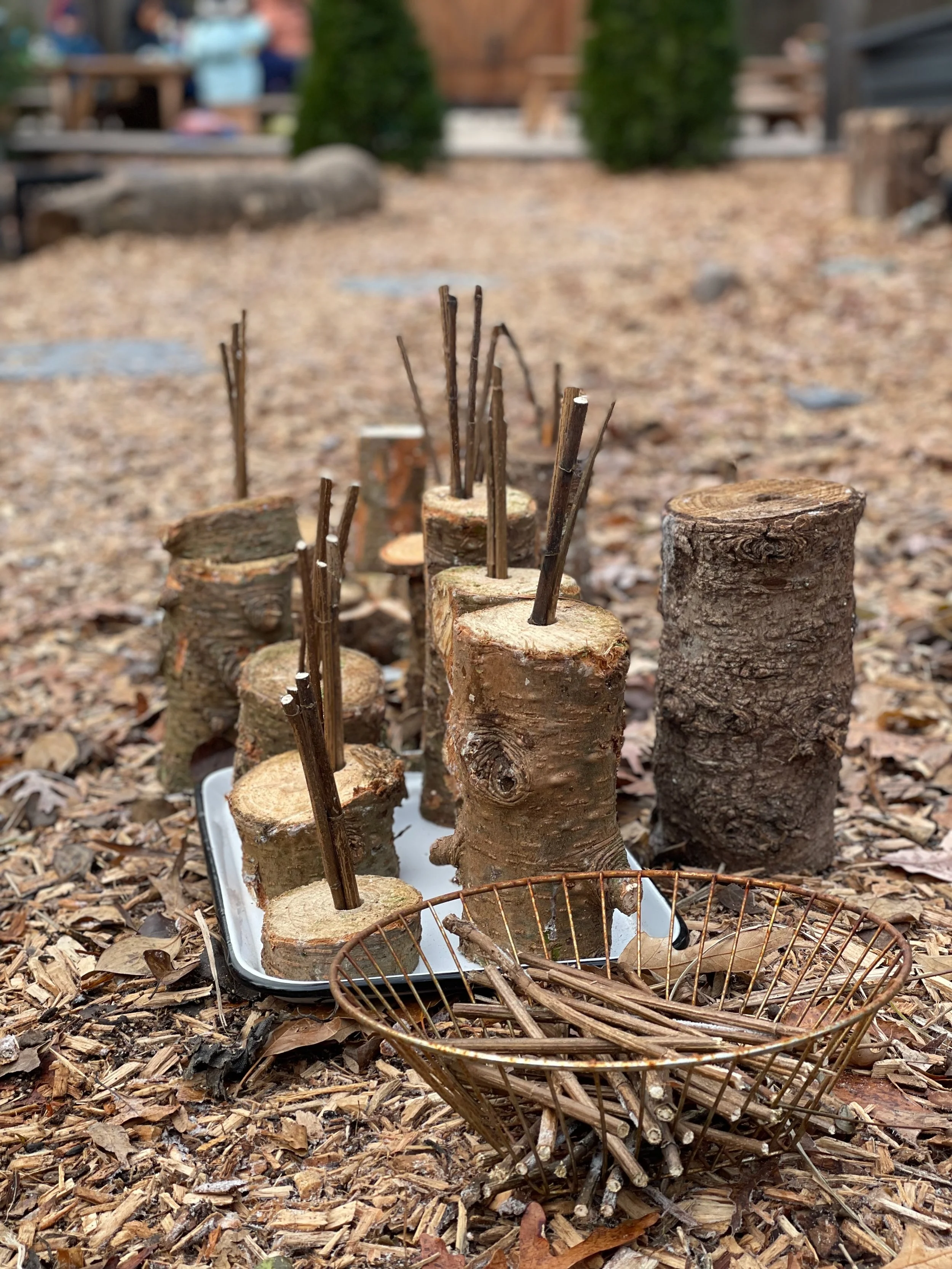 birthday_cake_nature_play_TPCNS