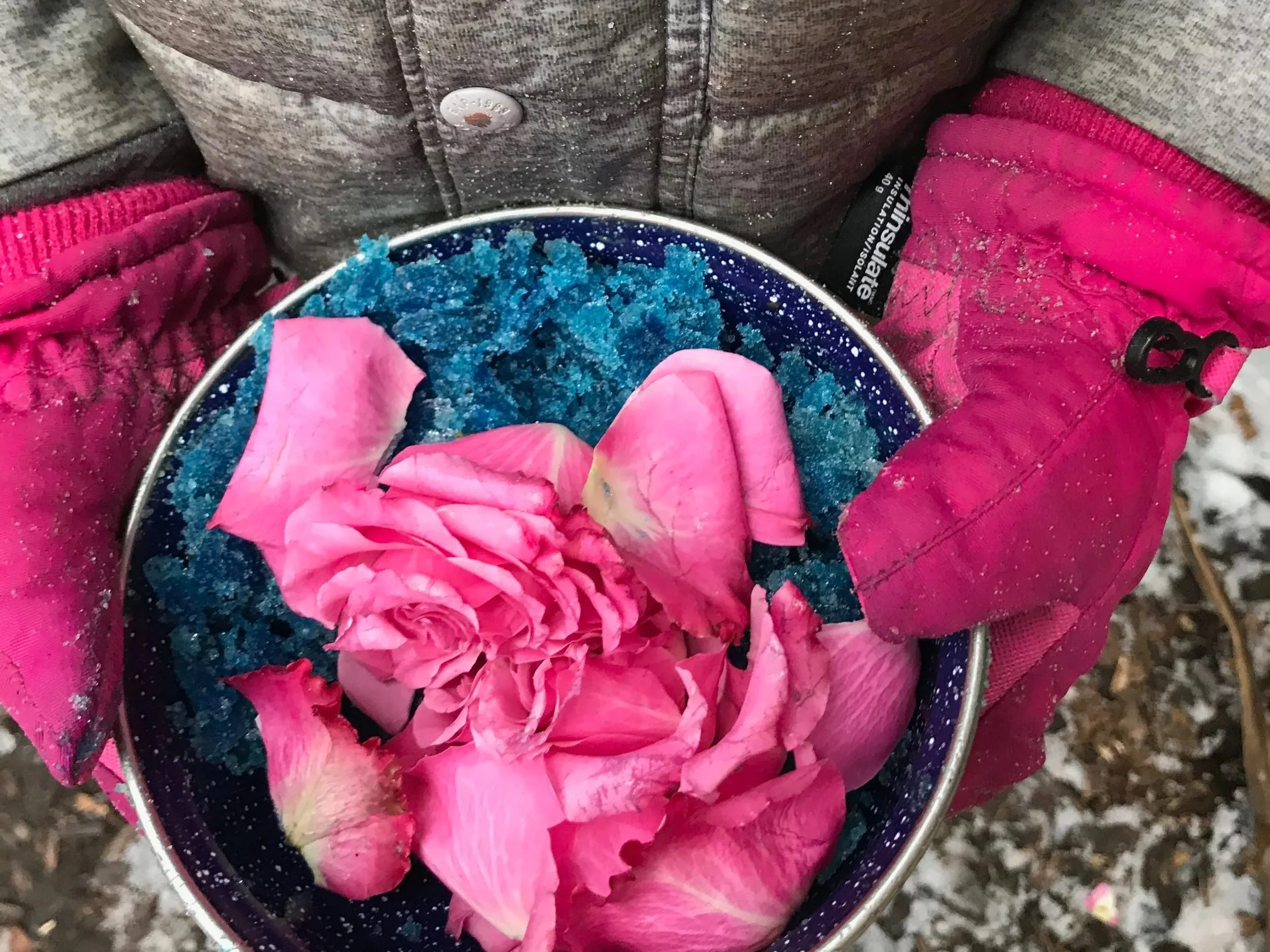 Belonging: How We Shape Our Day