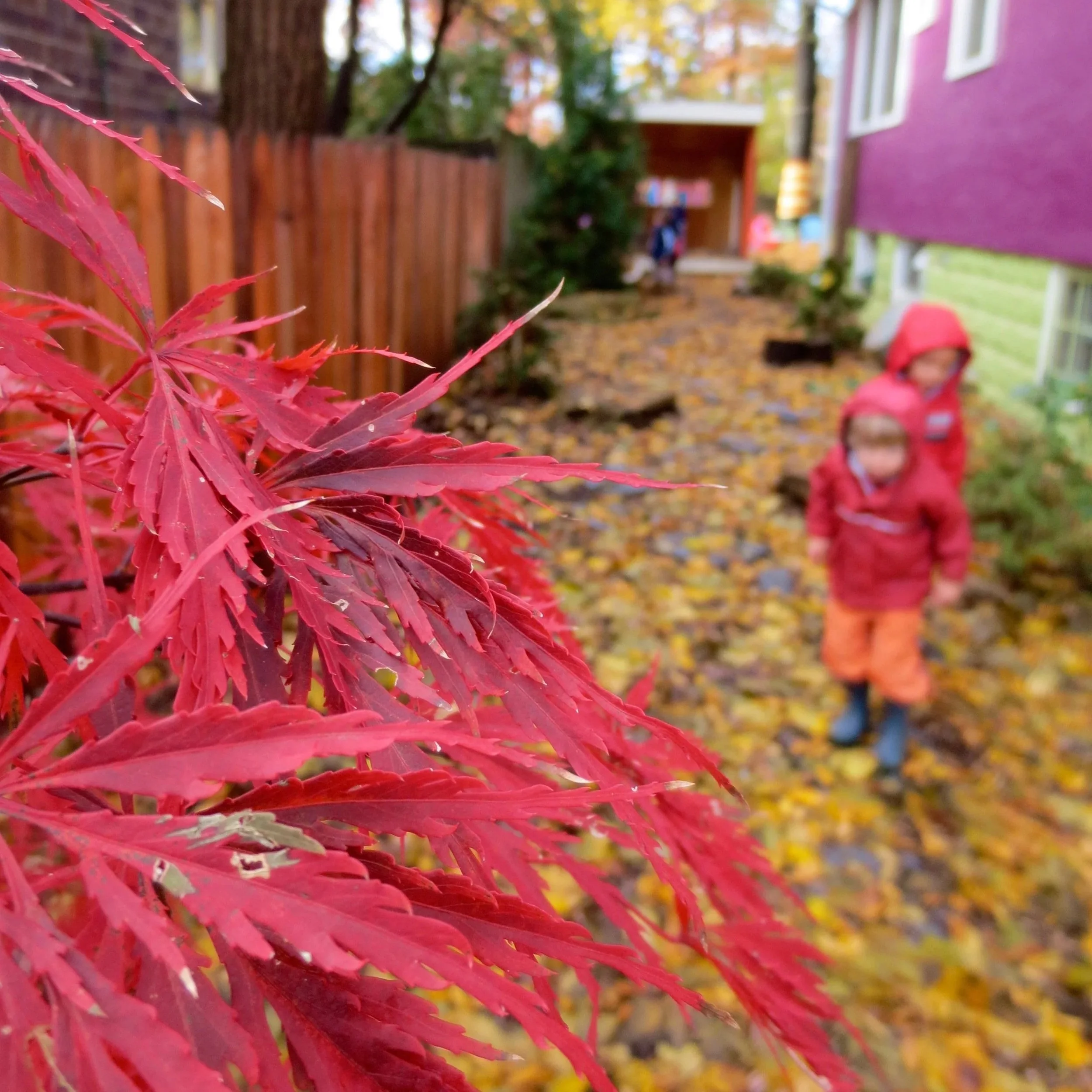 Two children play outdoors on a rainy fall day, engaging in hands-on exploration and nature-based learning in an early childhood setting.
