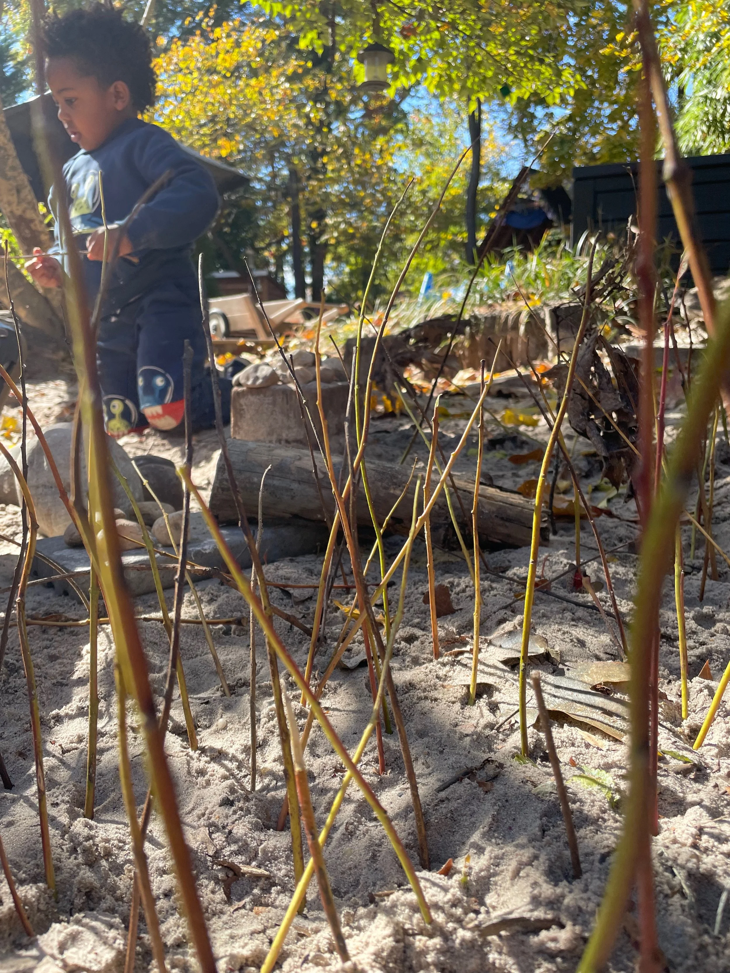 twig_forest_play_activity_TPCNS