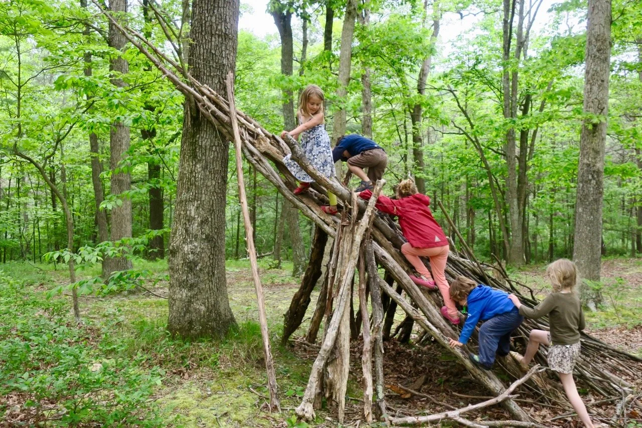 Children climbing and exploring a natural structure made of branches during outdoor learning, fostering creativity, coordination, and cooperative play.