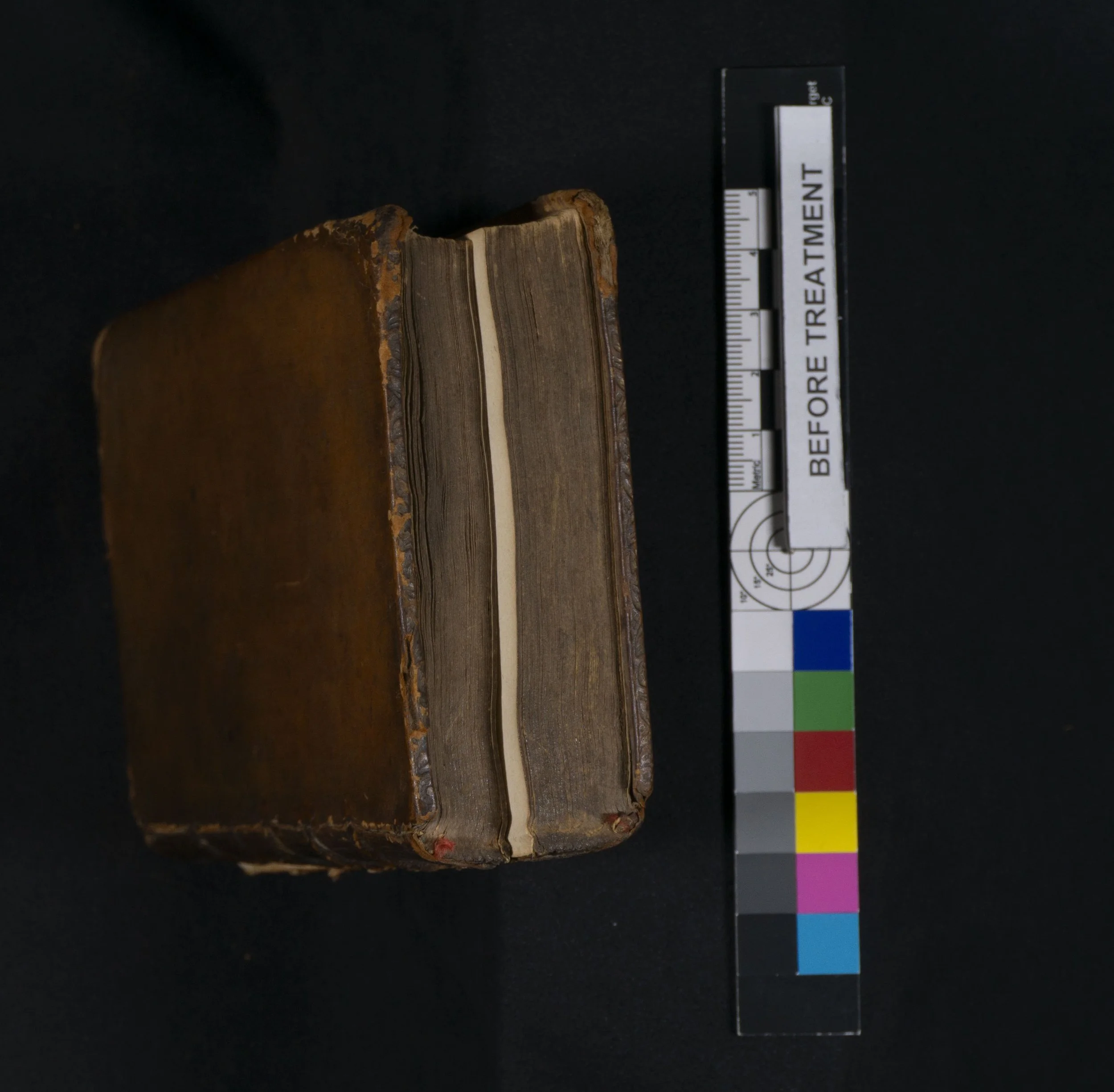 Before Treatment Edge 1