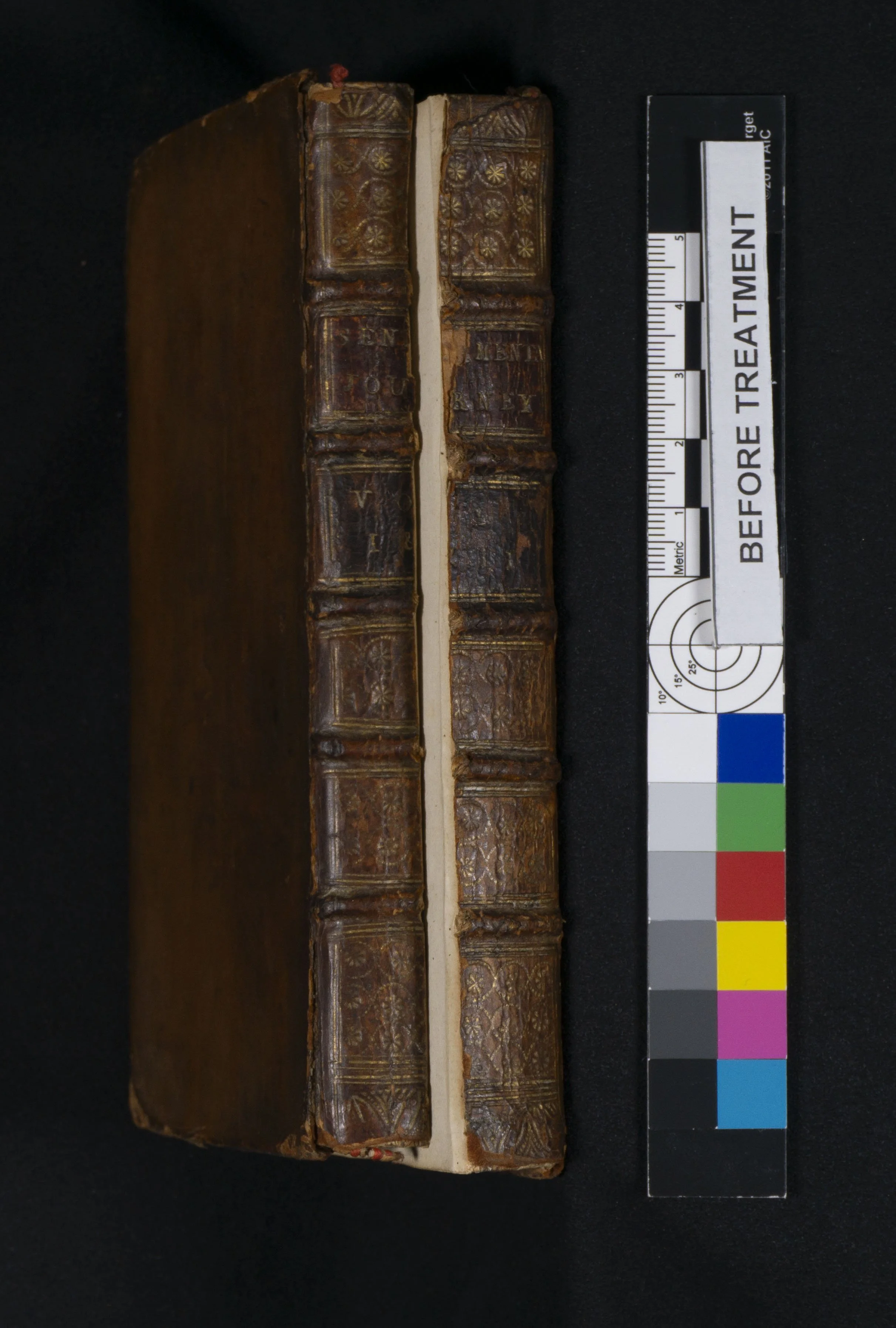 Before Treatment- 18th century broken spine