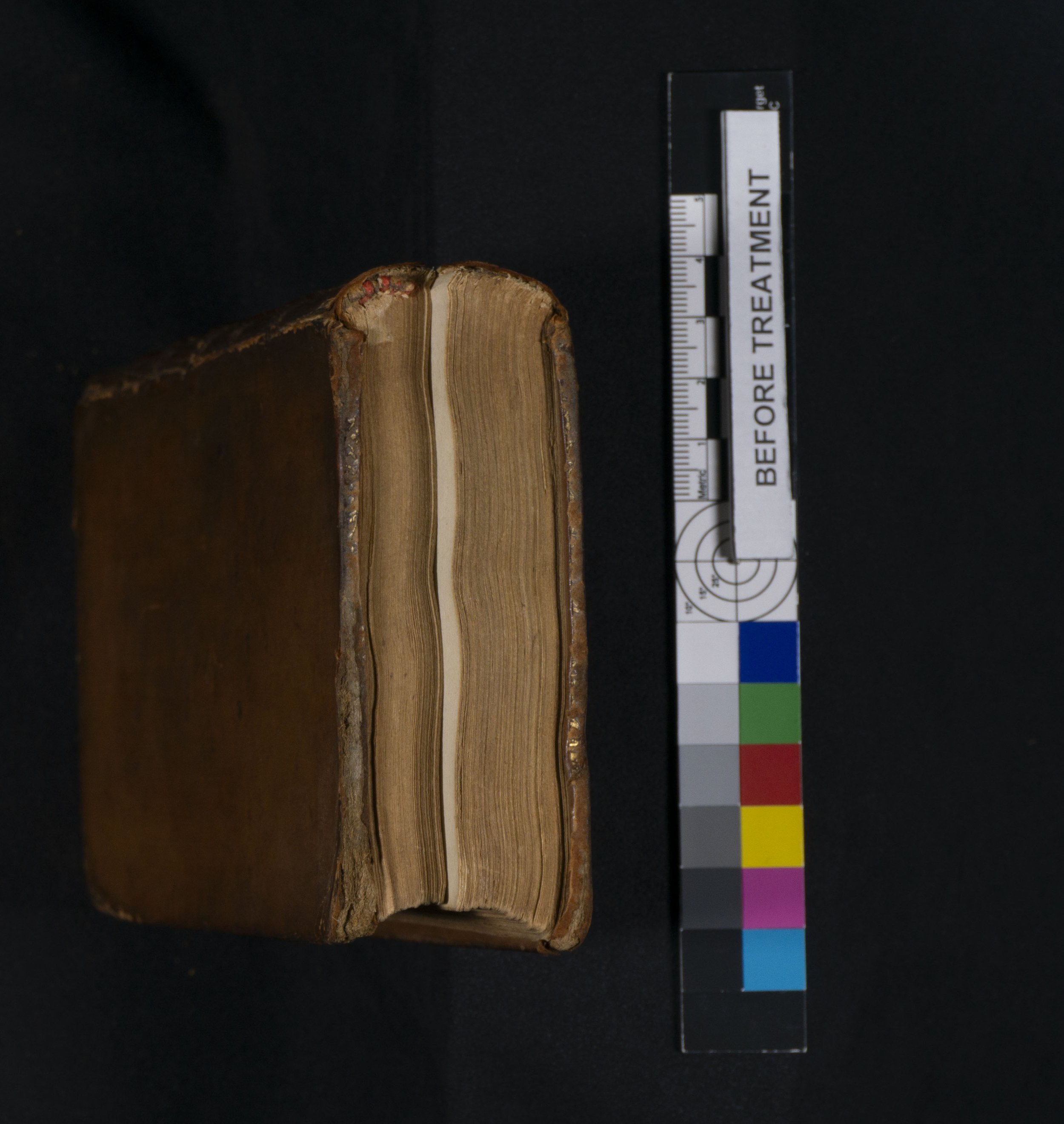 Before Treatment Edge 2