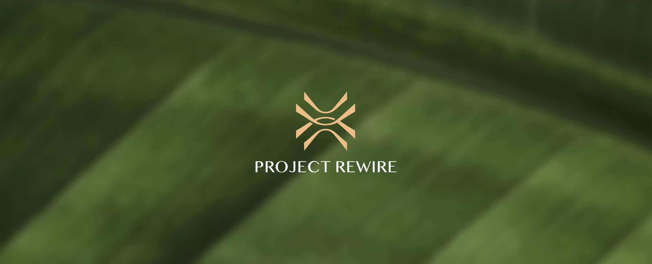 Project Rewire Brand Identity