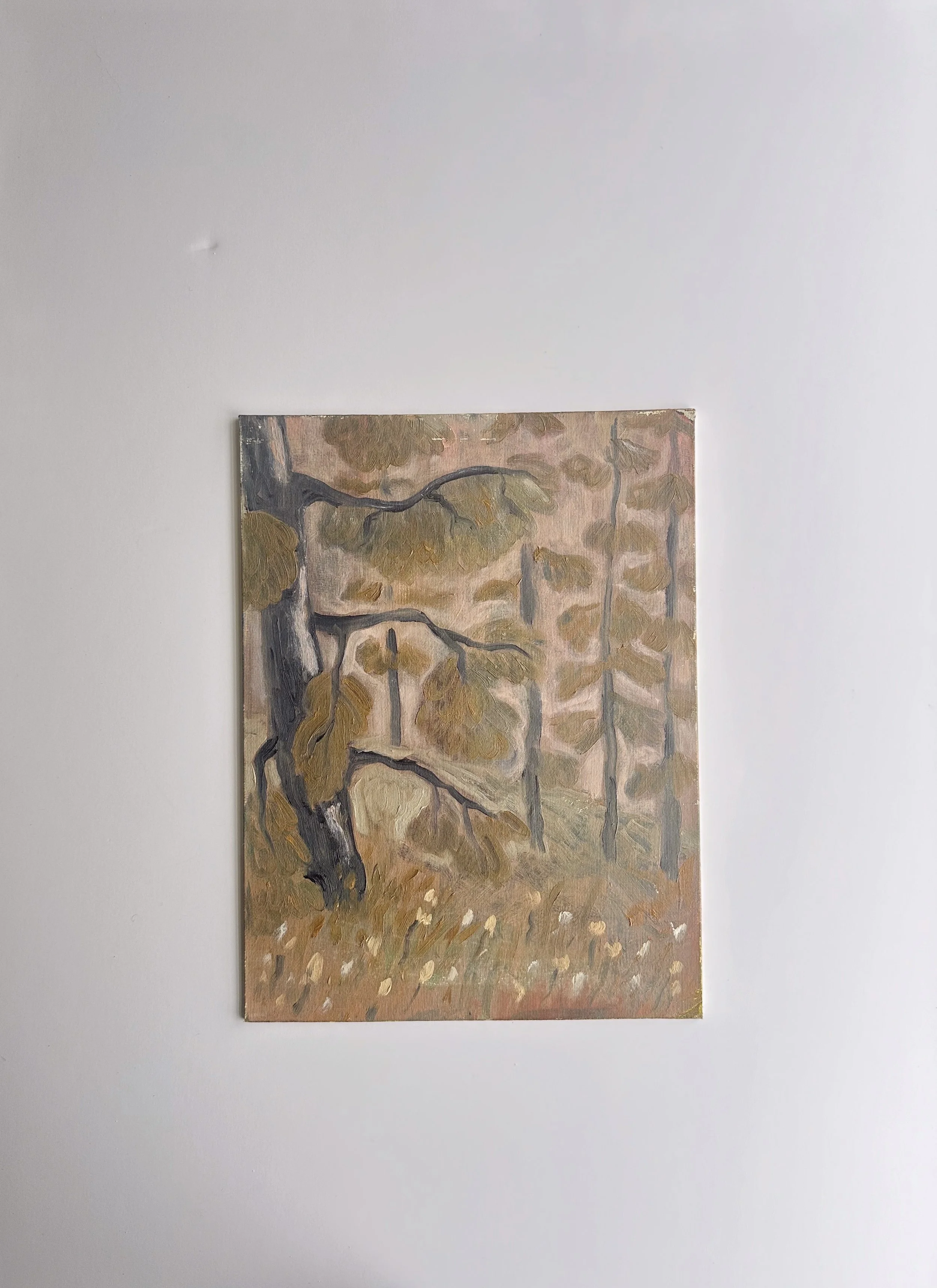 Montana Plein Air - Original Painting